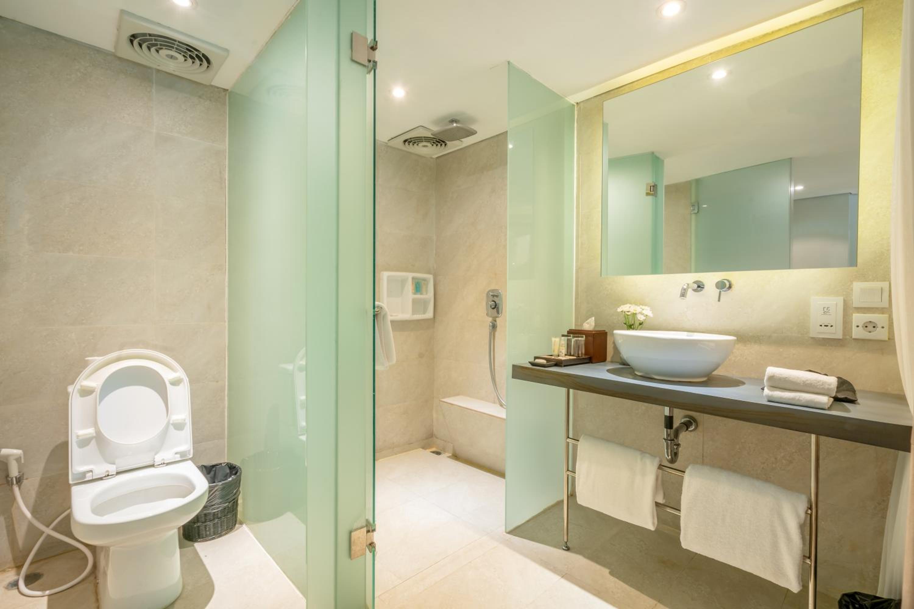 Deluxe Double or Twin Rooms - Photo 14
