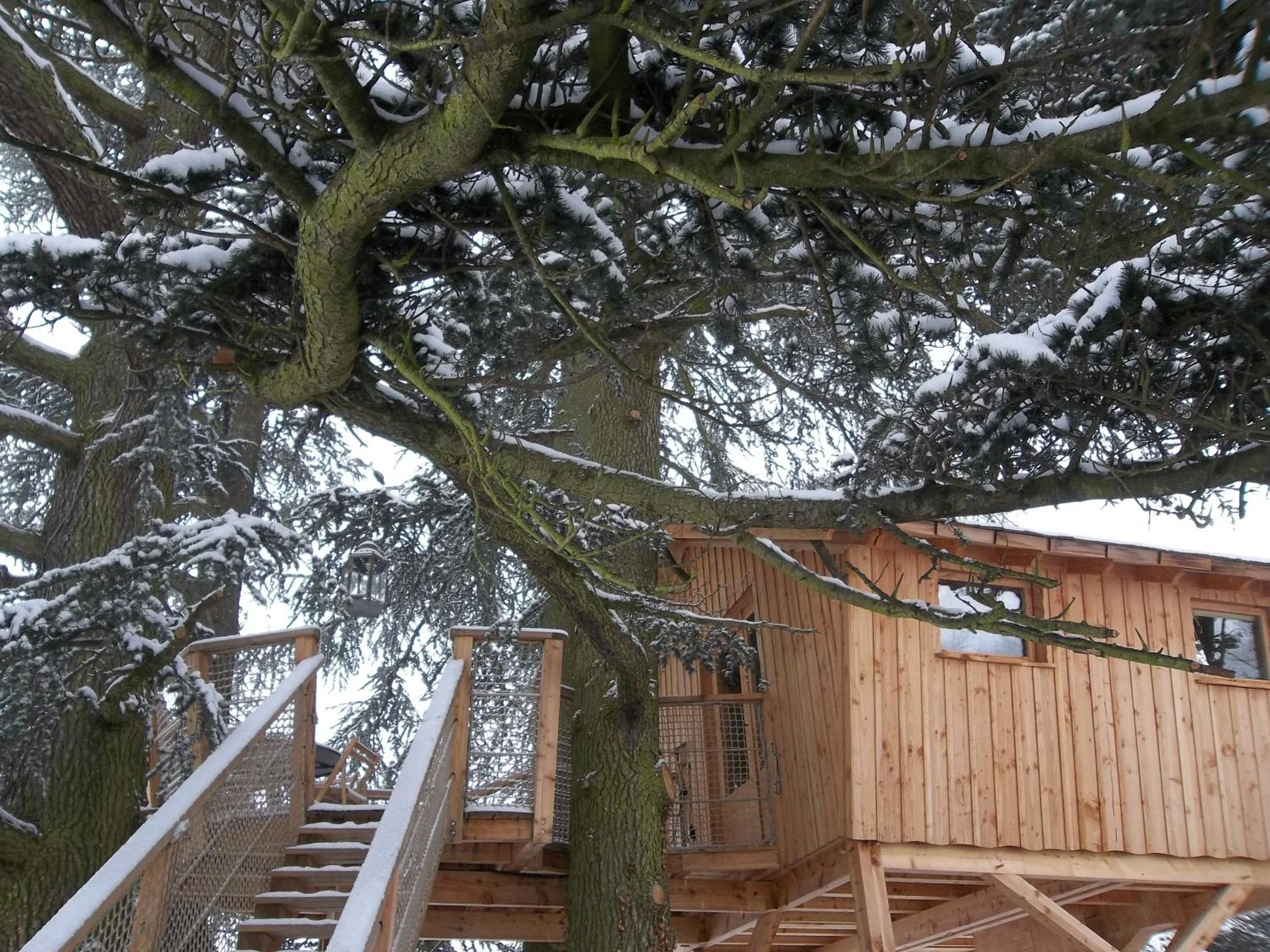 Tree House - Valley View - Photo 5