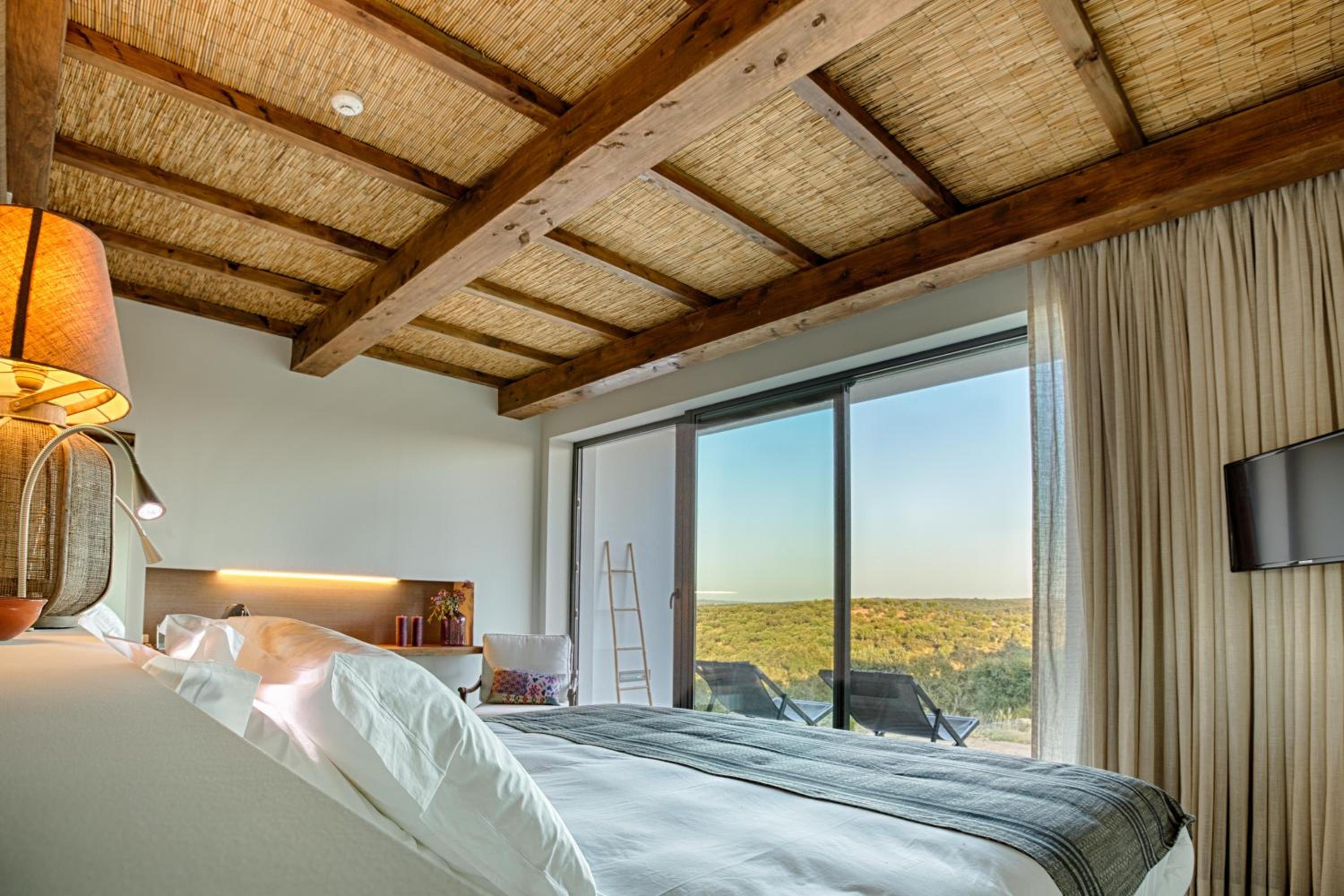 Premium Double or Twin Room photo 1