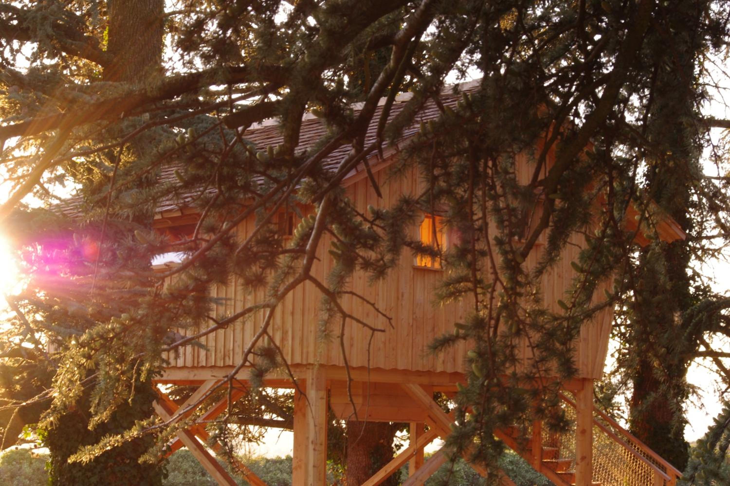 Tree House - River View - Photo 5