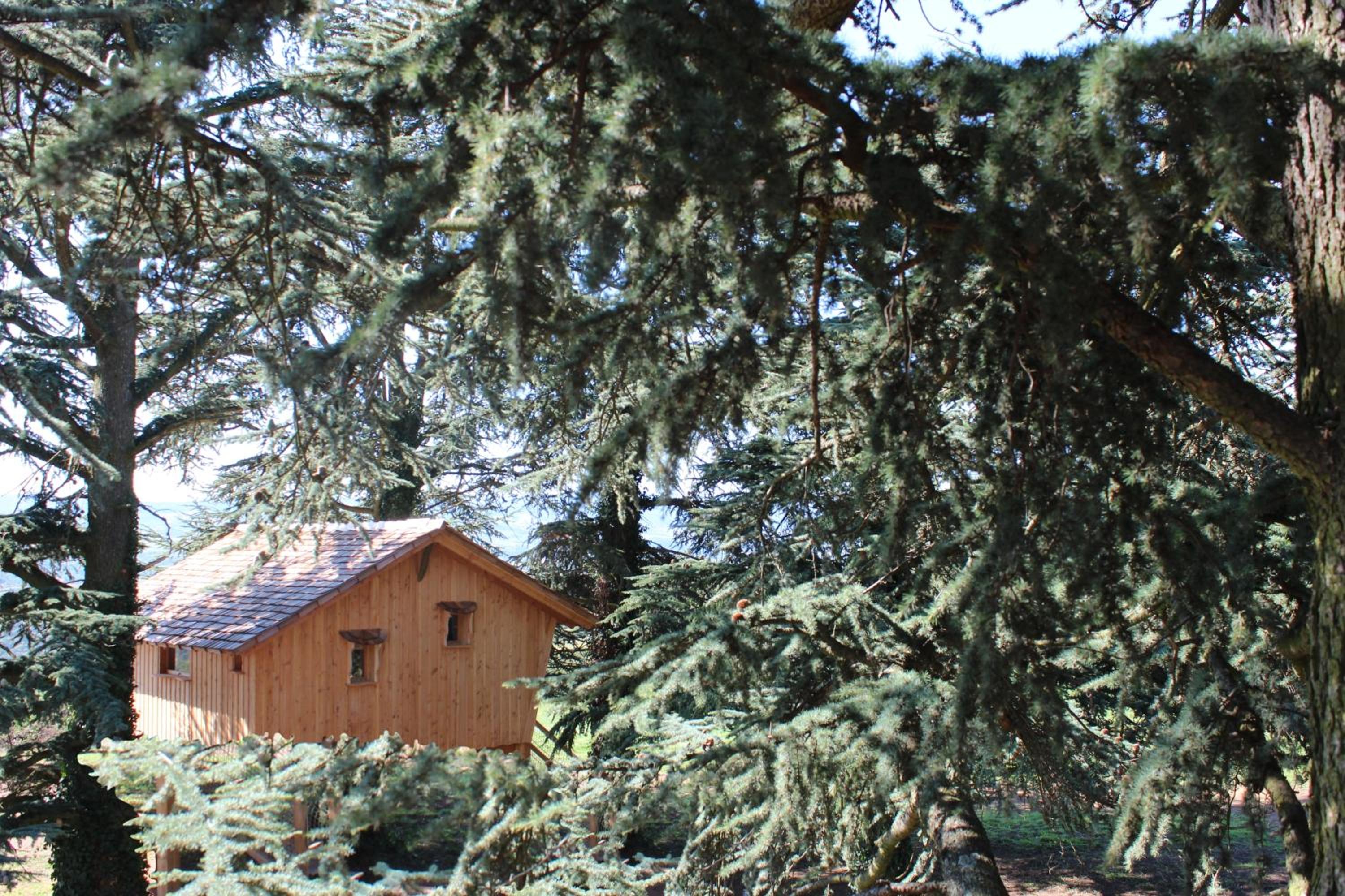 Tree House - River View - Photo 6