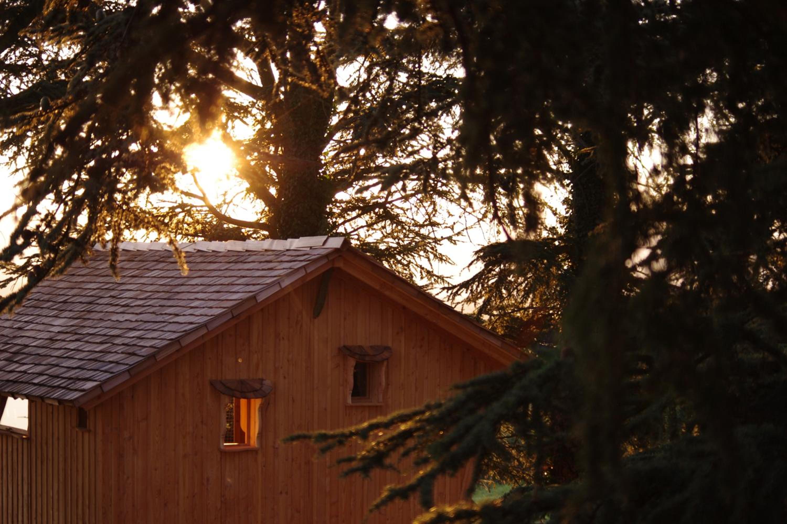 Tree House - River View - Photo 1