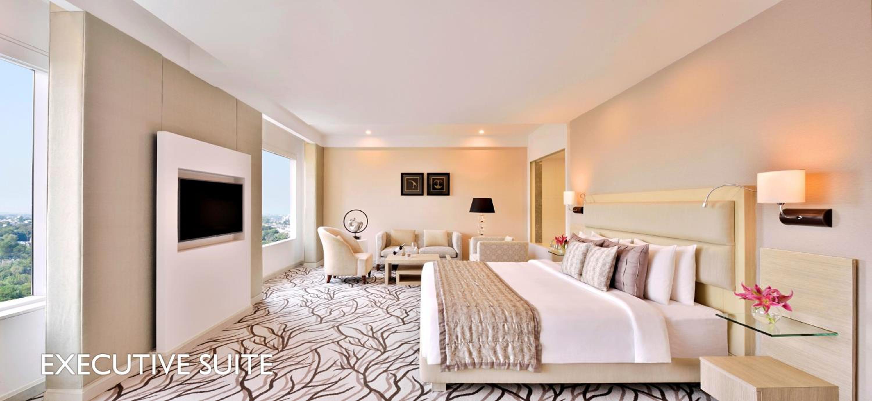 Suite - Photo 4
