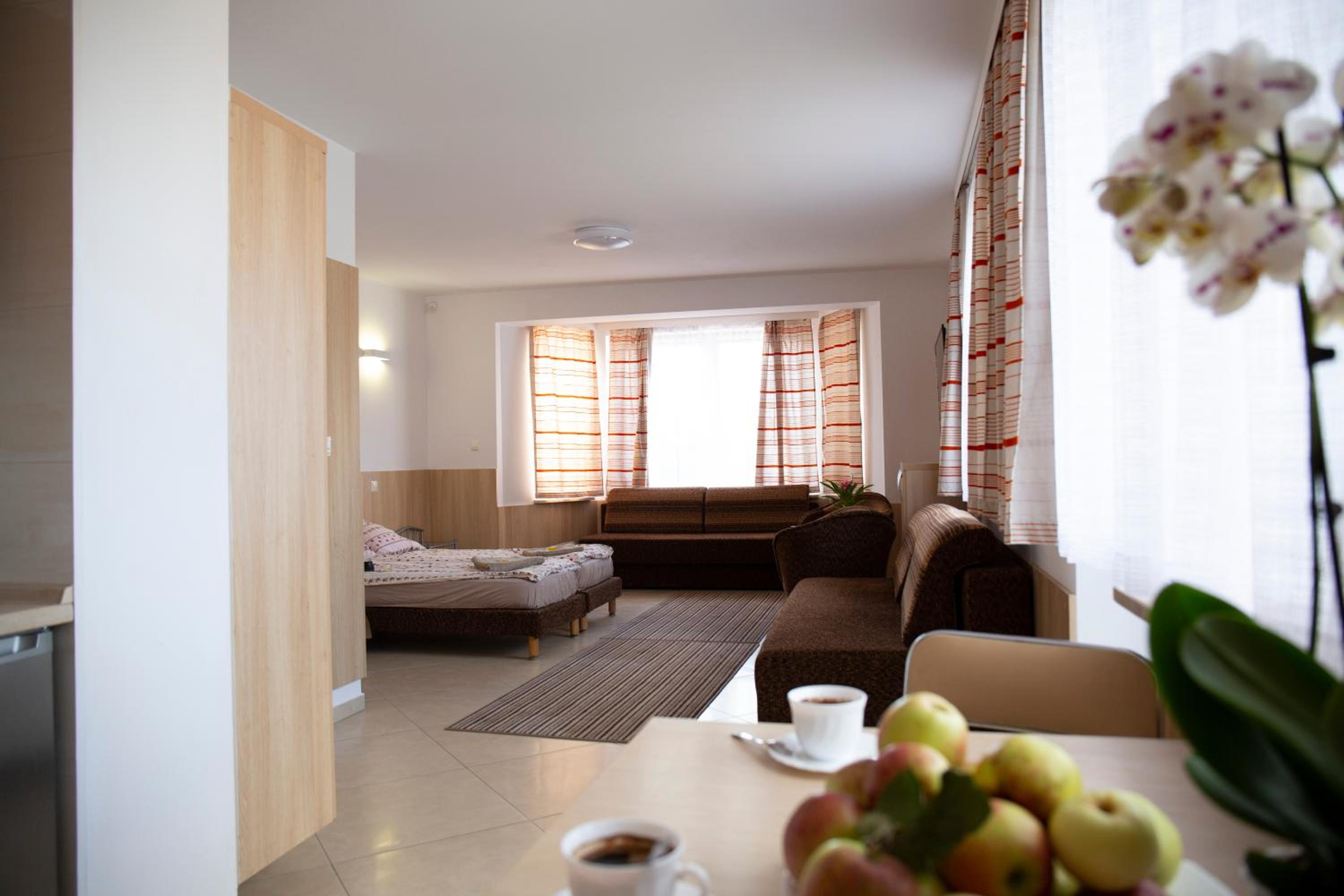 Standard Family Room photo 1
