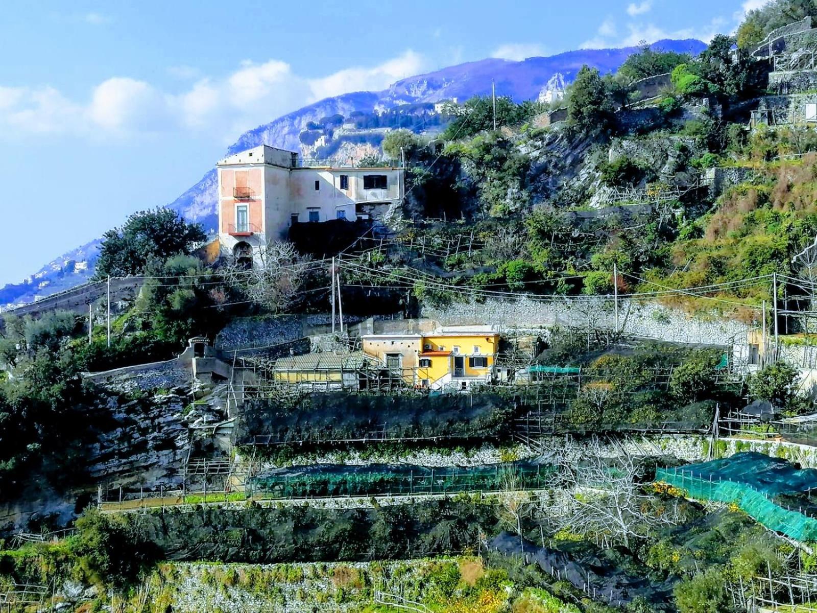 Vacation Home photo 3