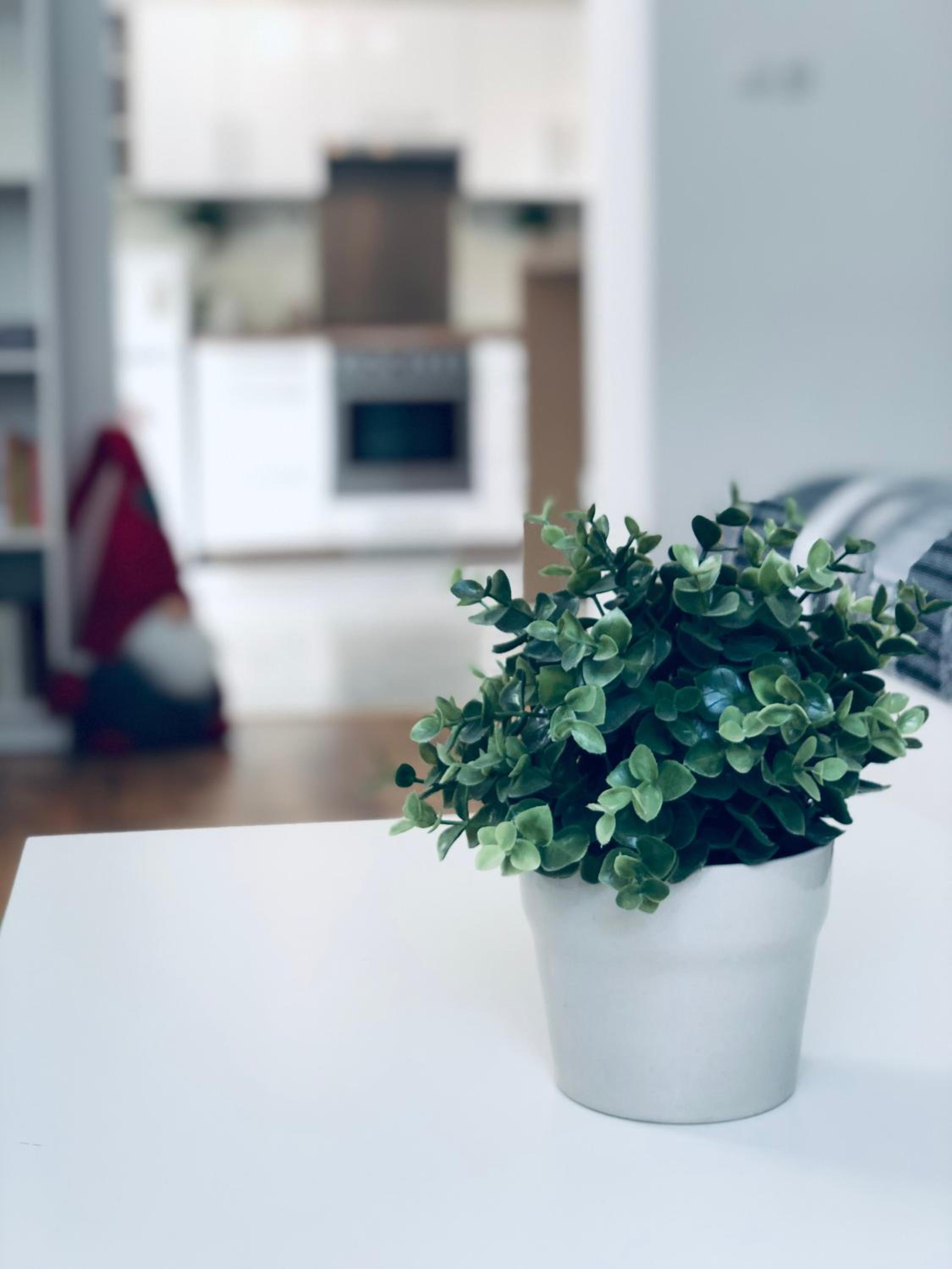 Apartment - Photo 17