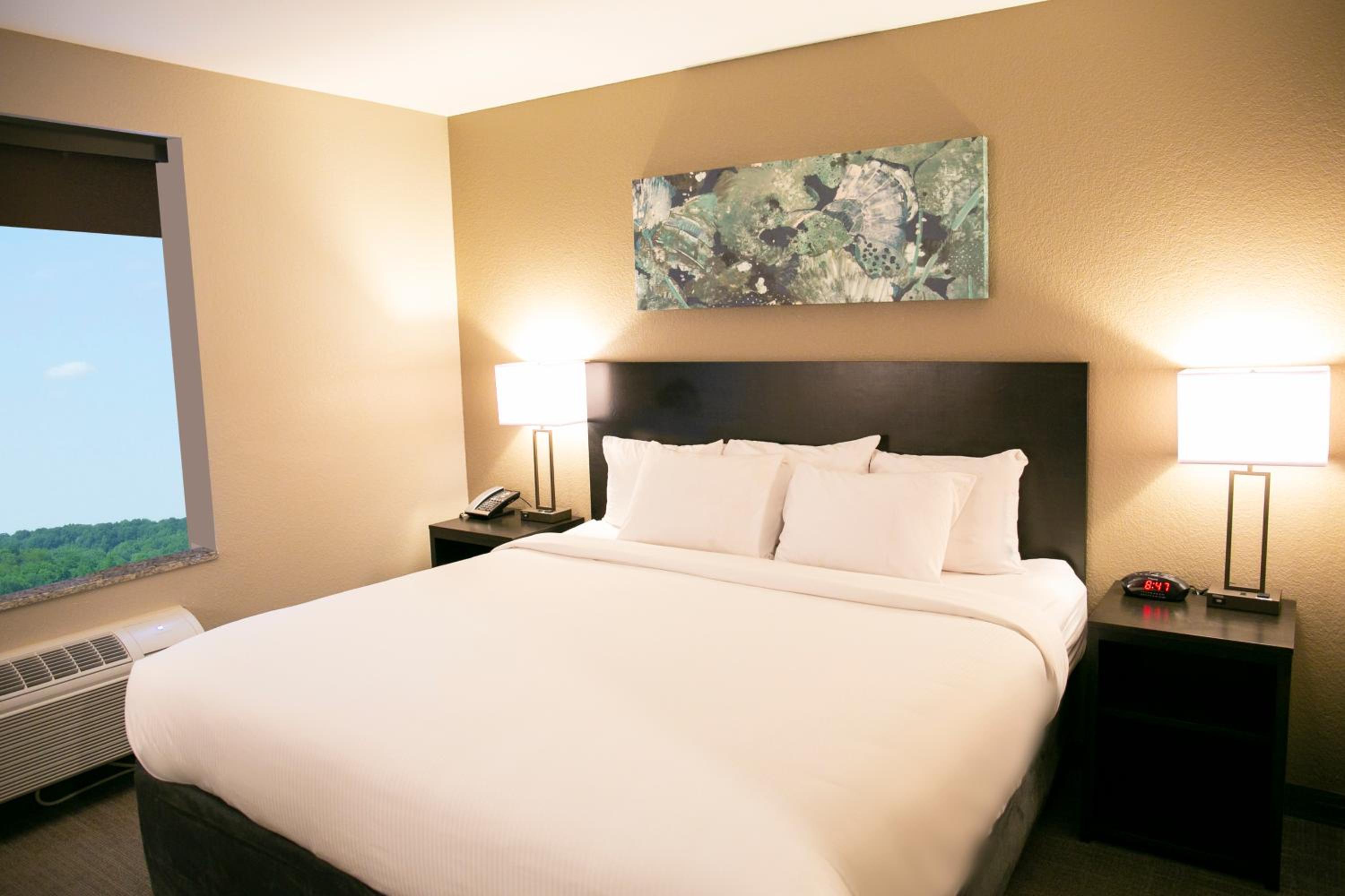 King Room - Disability Access photo 1