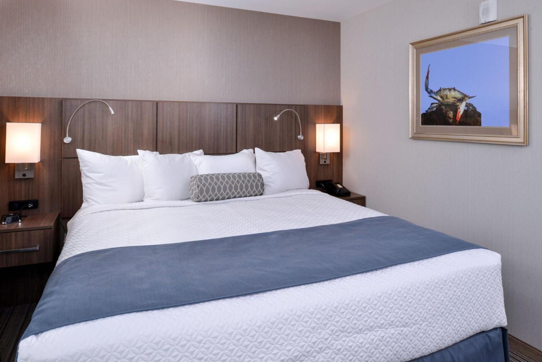 King Room photo 3
