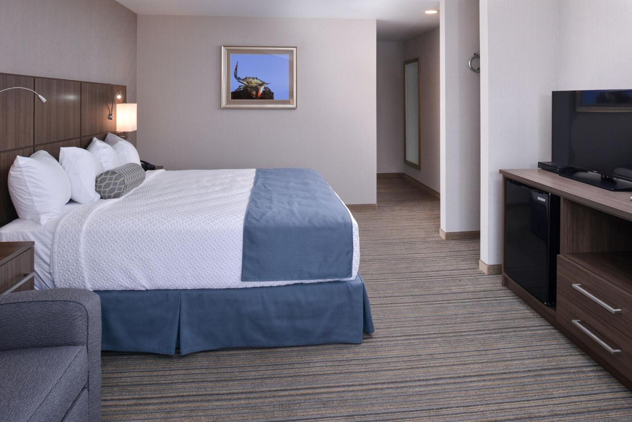 Deluxe King Room with Balcony with Pullout Sofa photo 2