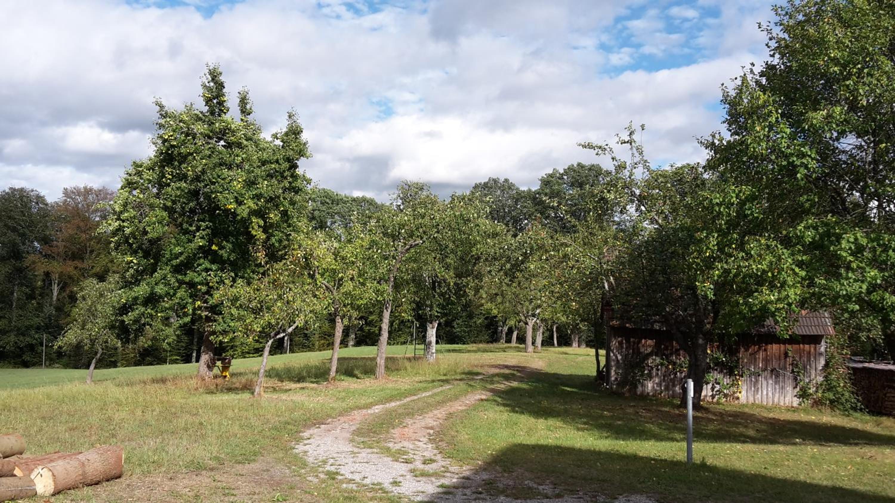 Holiday Home photo 3