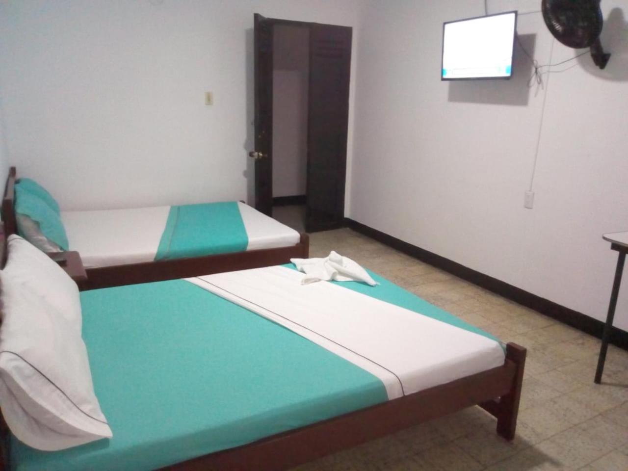 Twin Room photo 3