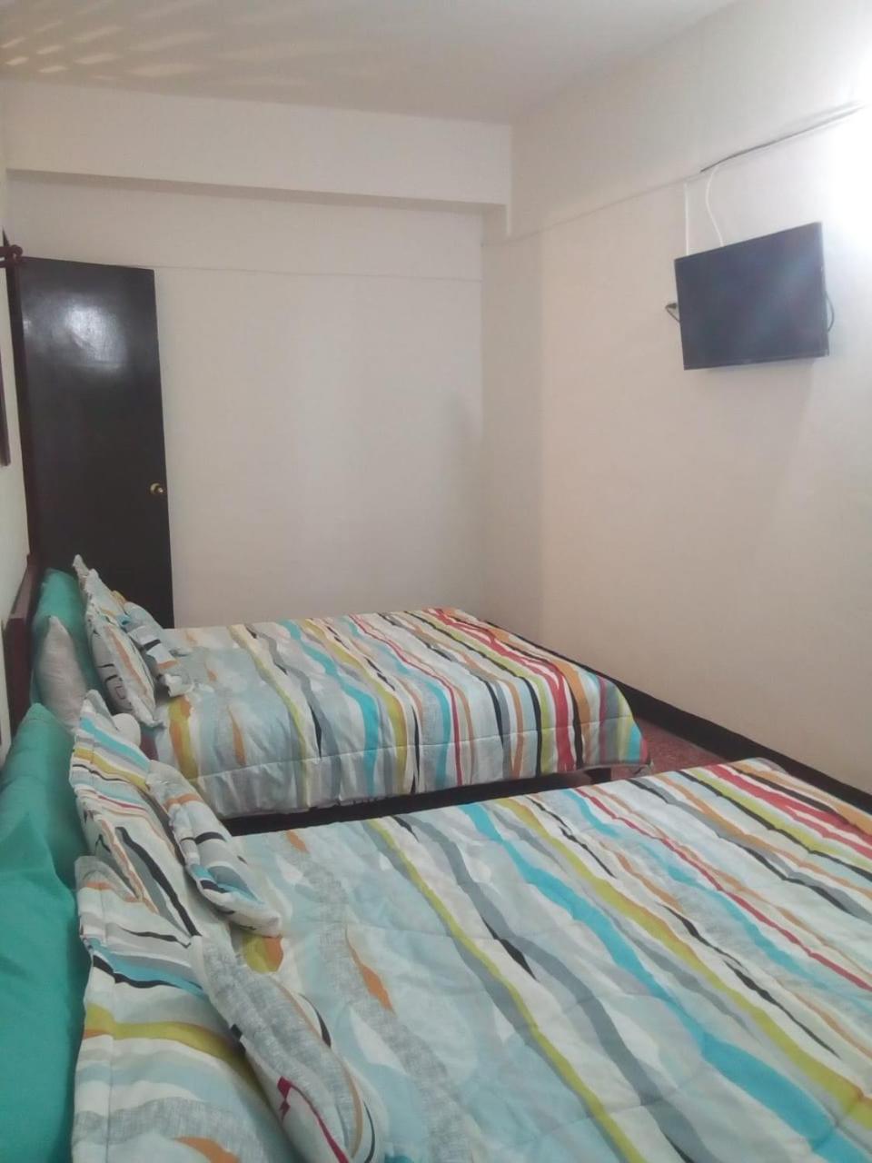 Twin Room photo 2