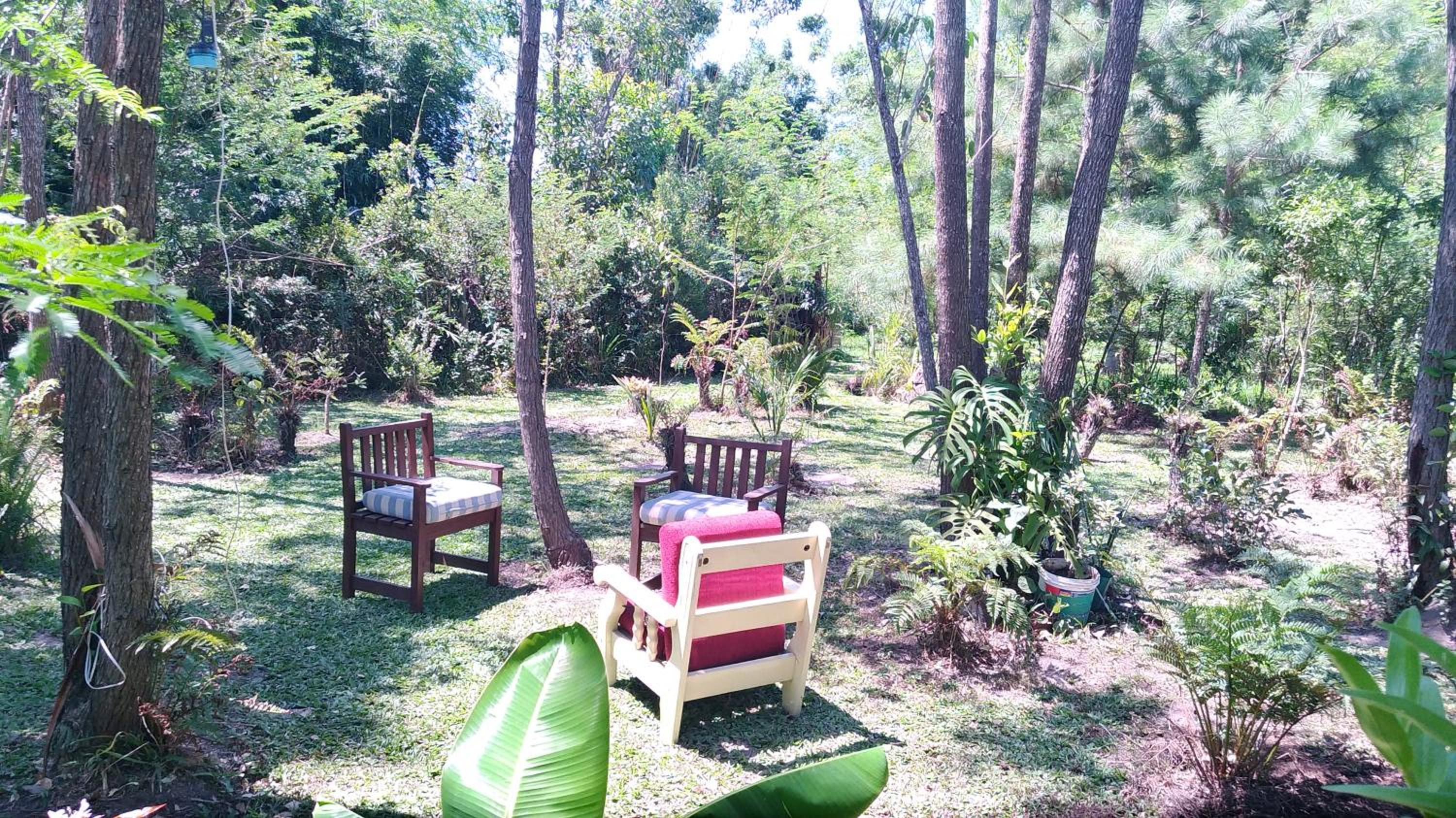Superior Double or Twin Room with Garden View - Photo 18