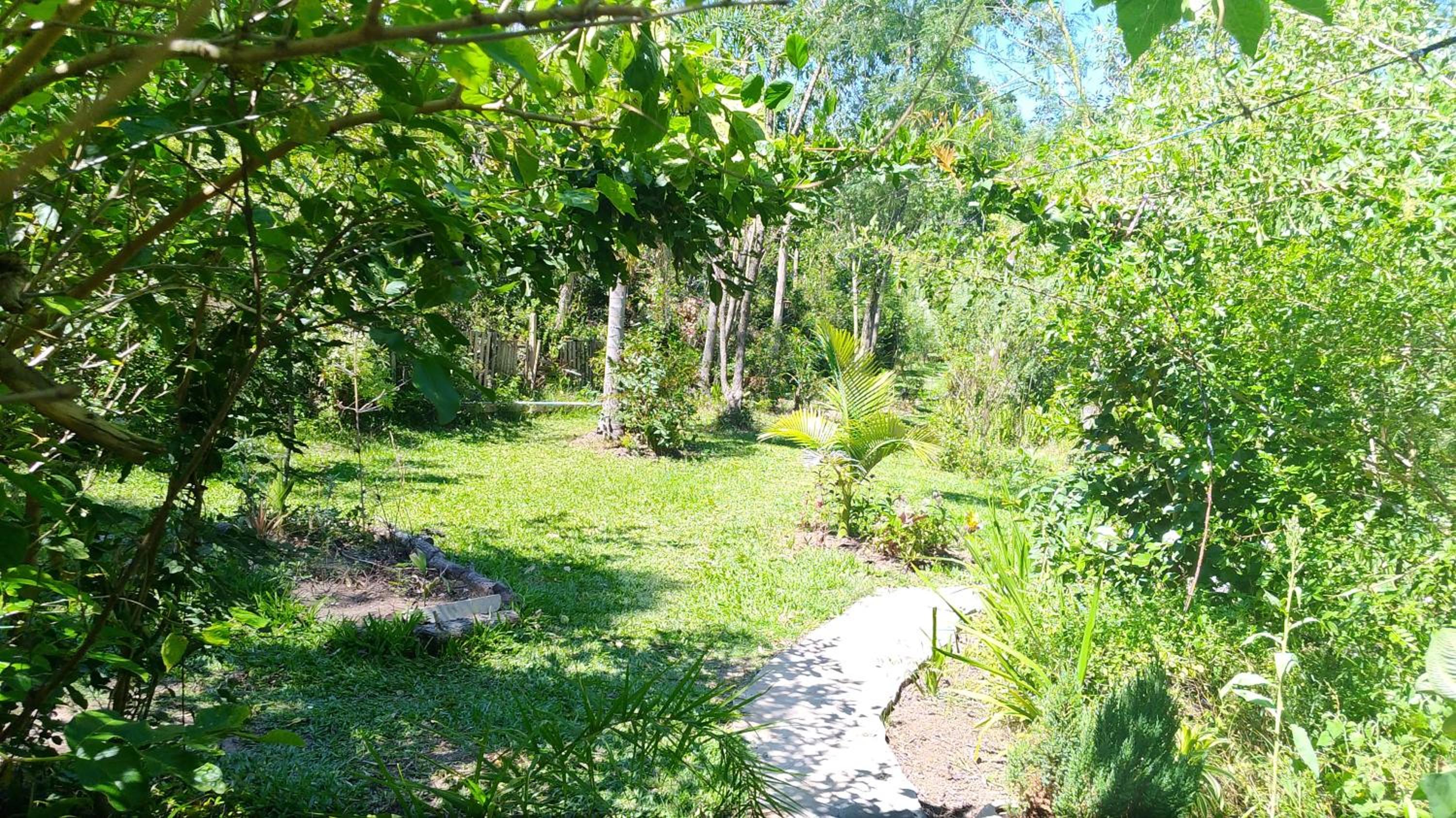 Superior Double or Twin Room with Garden View - Photo 17