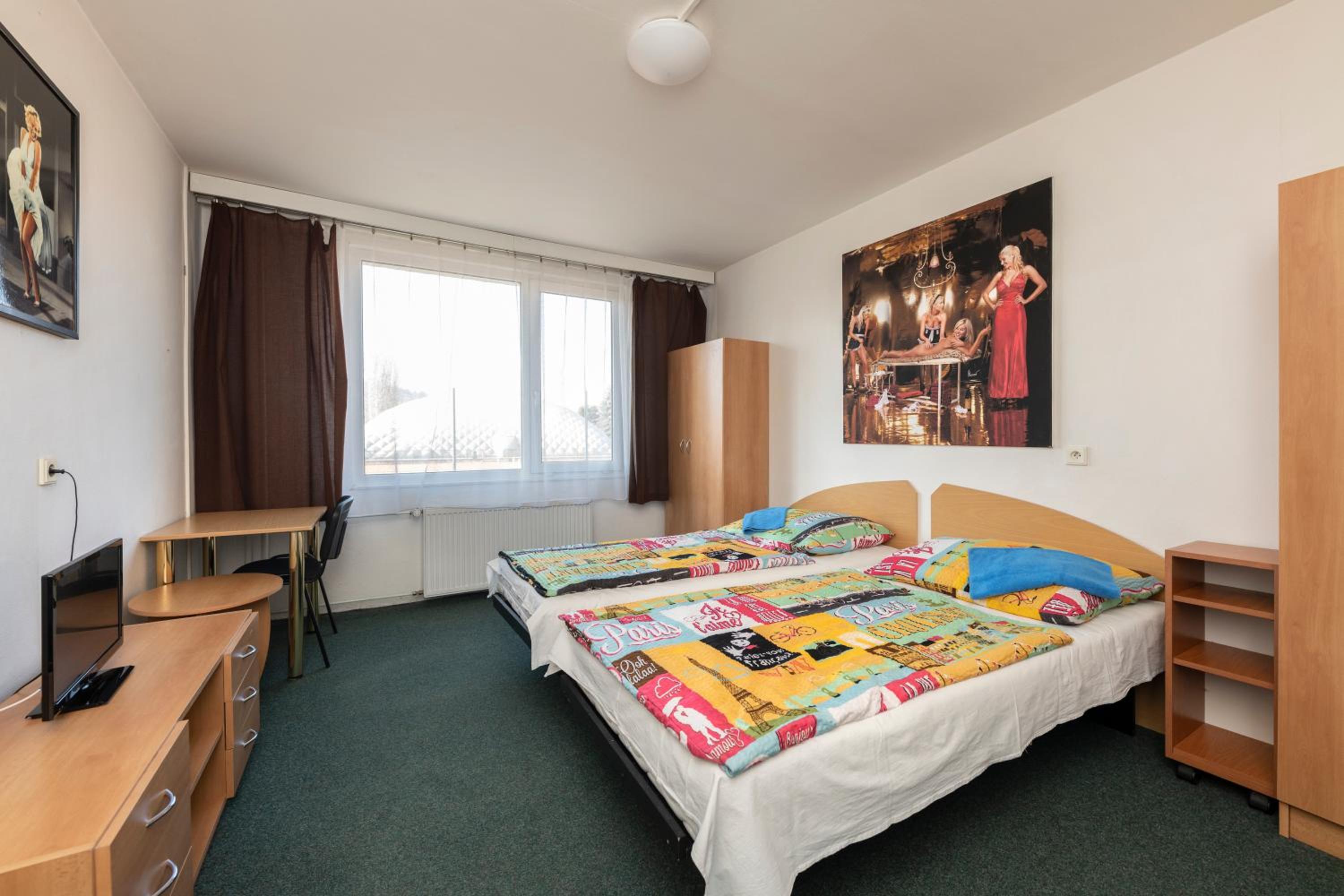 Single Room photo 1