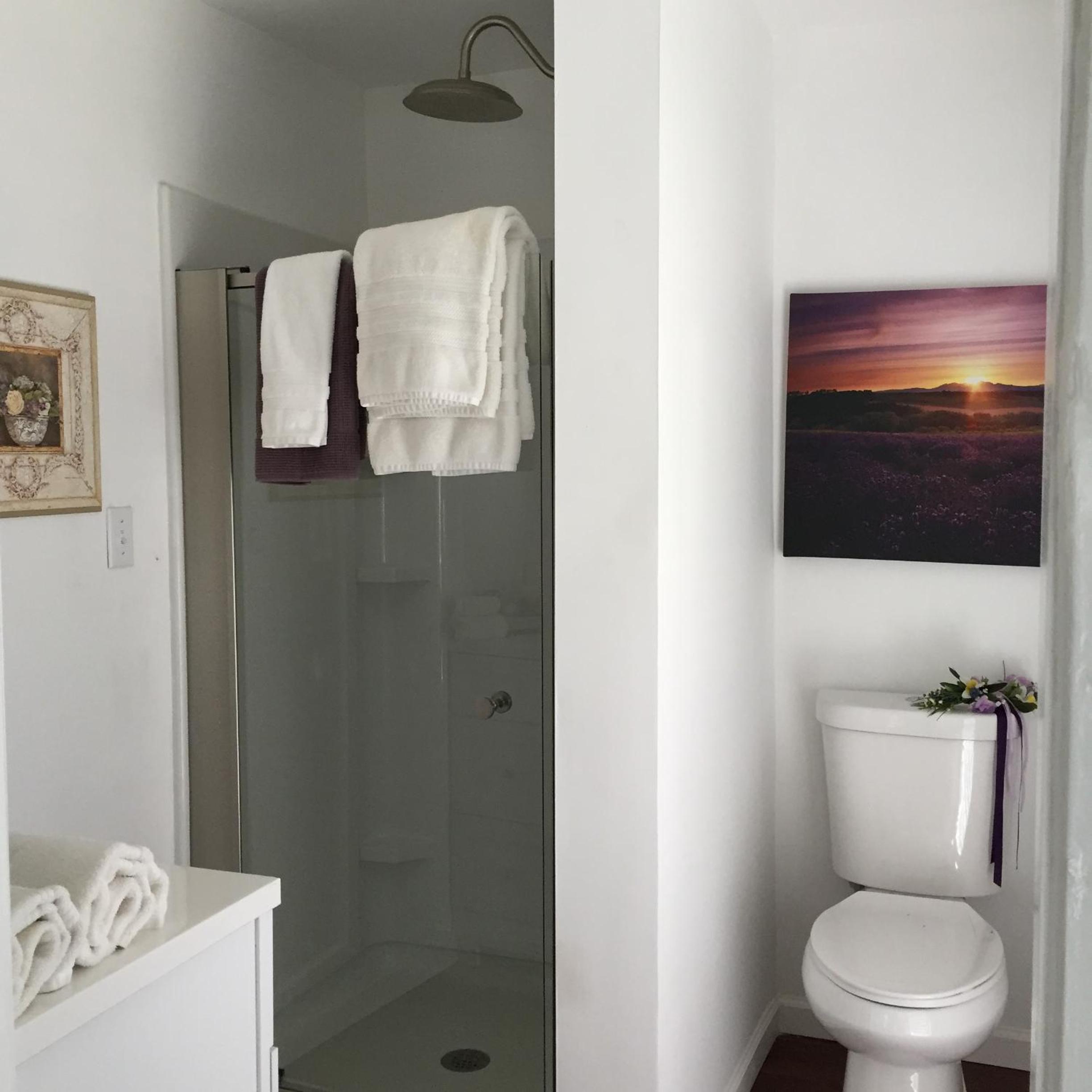 Superior King Room photo 3