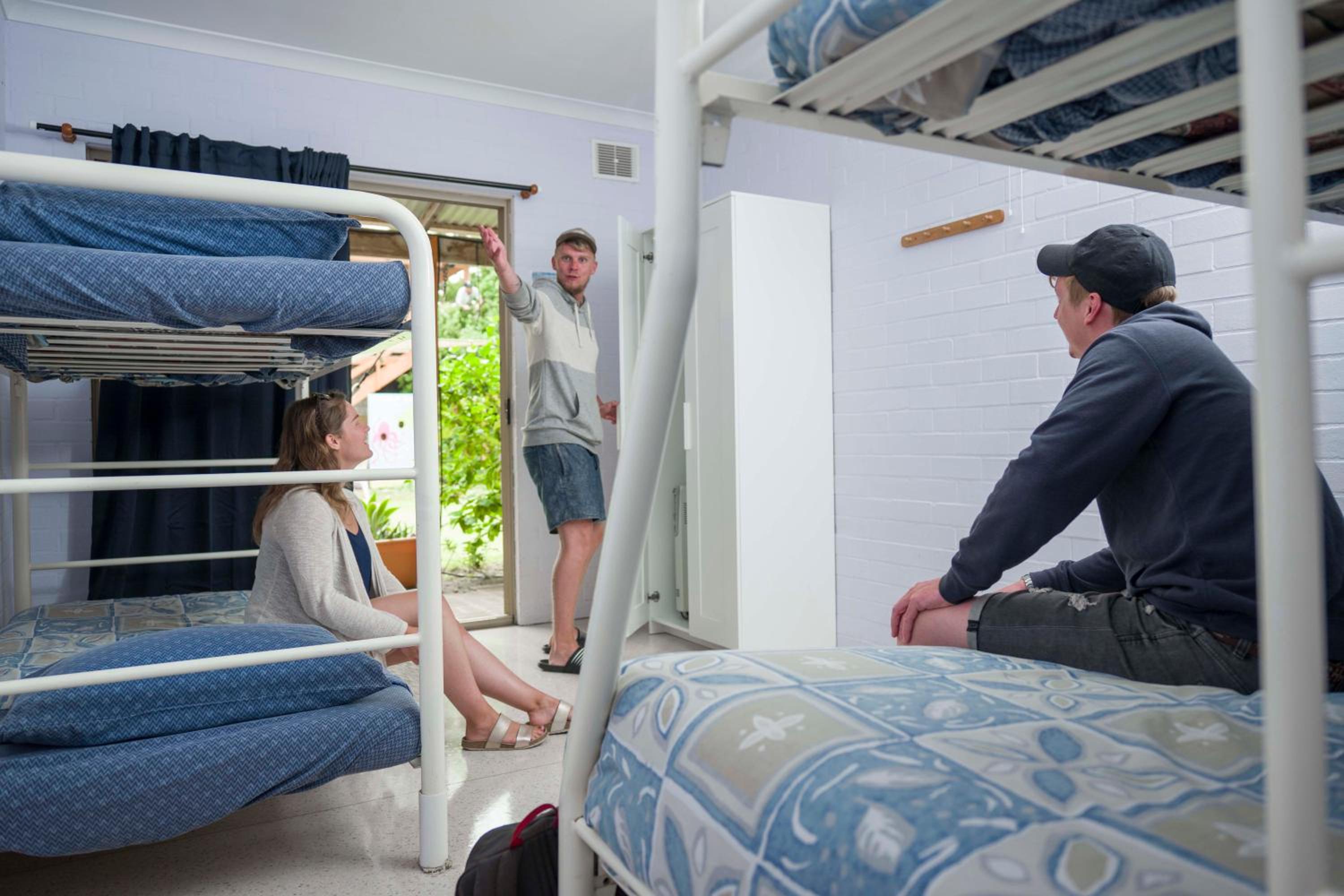 Bunk Bed in 6-Bed Mixed Dormitory Room photo 3