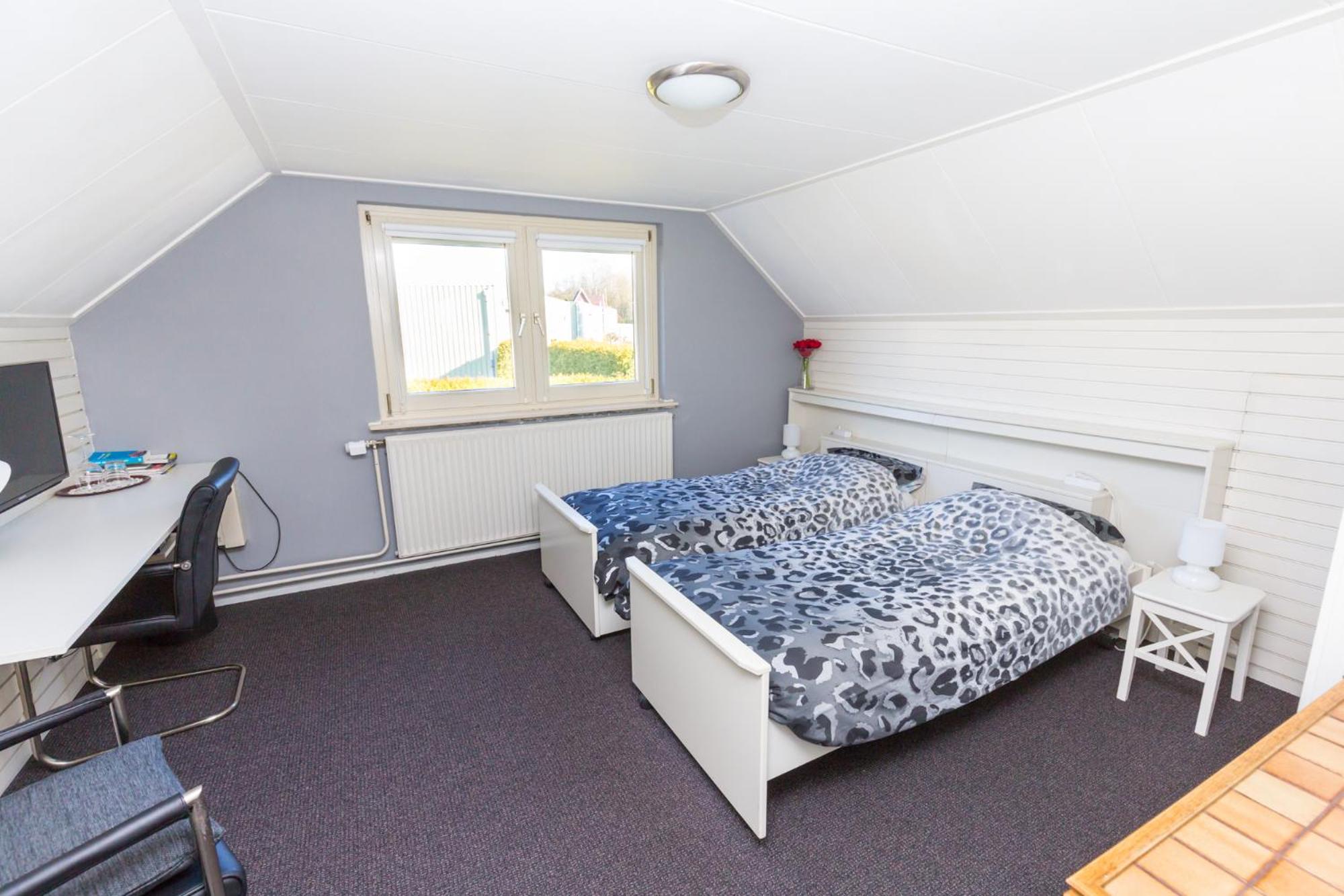 Deluxe Twin Room photo 1
