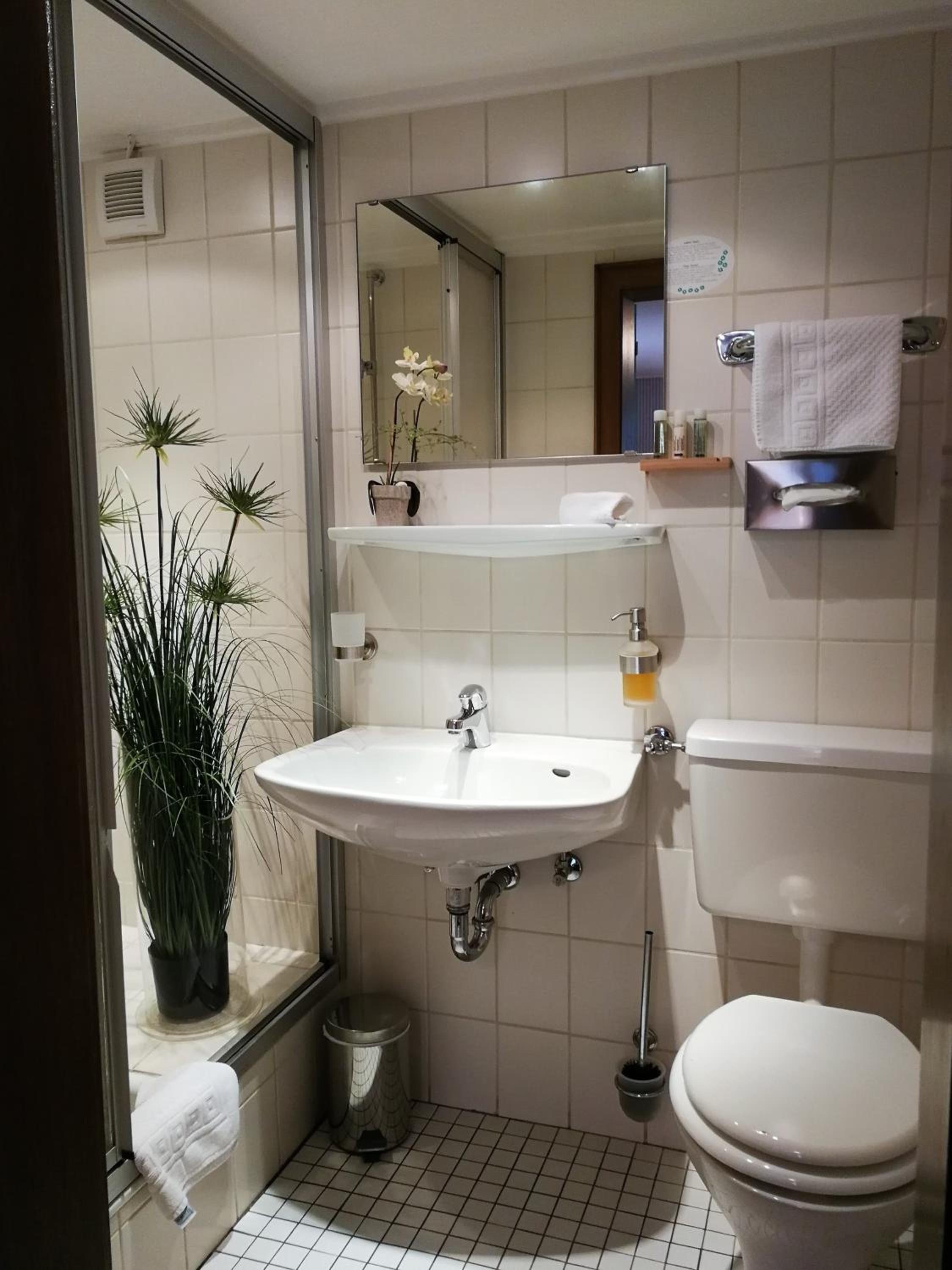 Superior Single Room photo 3