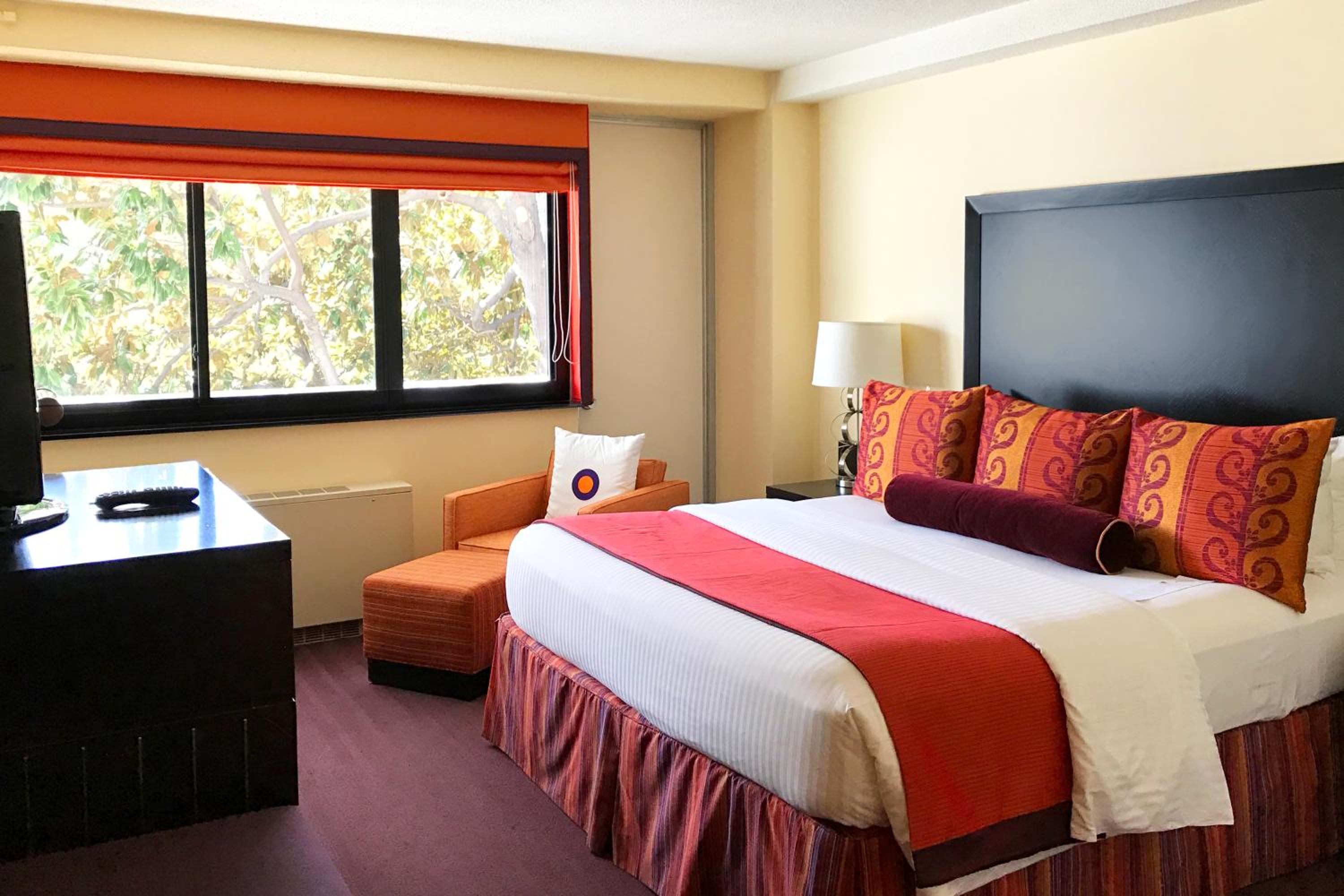 Superior King Room - Accessible  photo 3