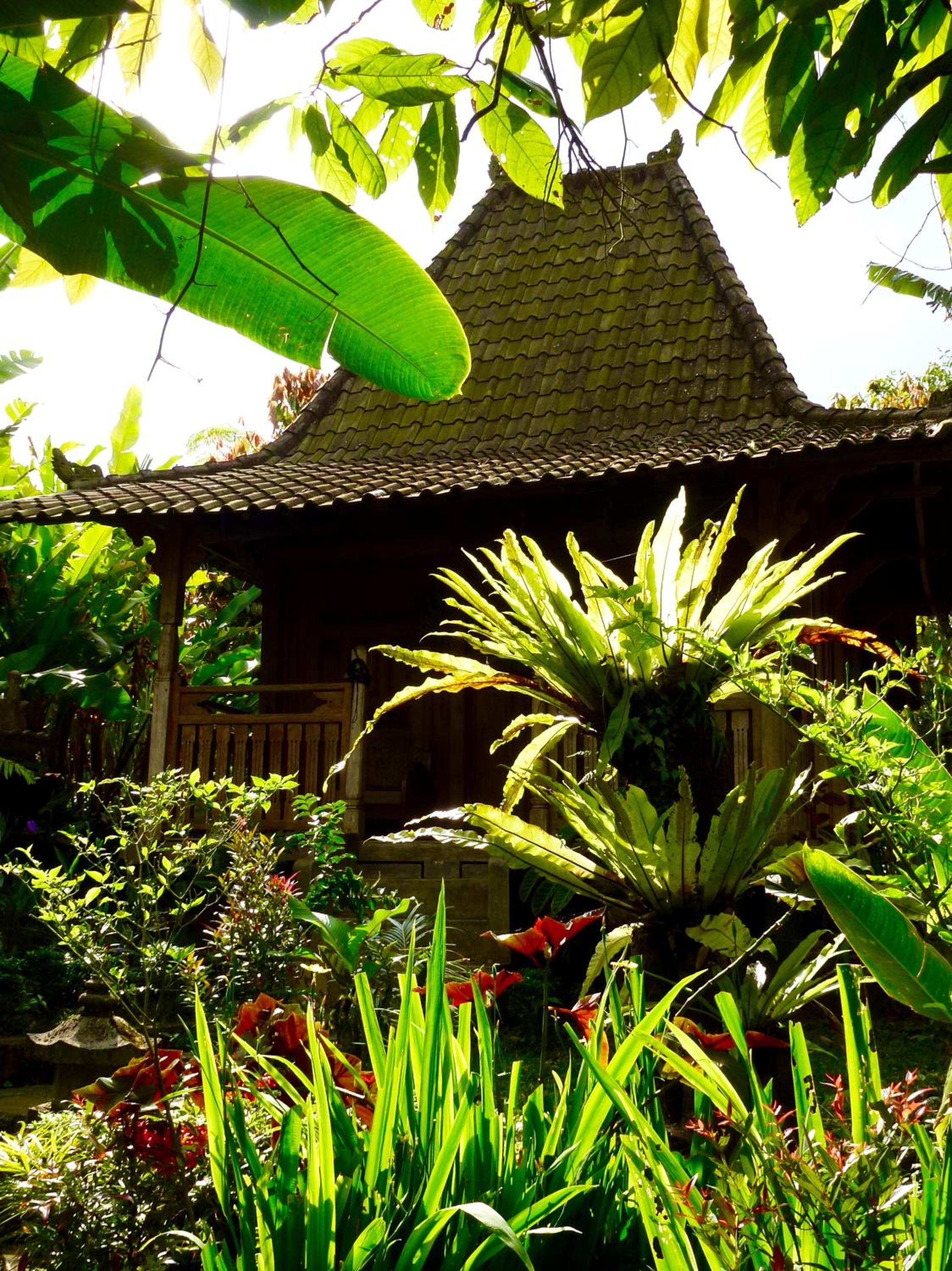 Bungalow with Garden View - Photo 15