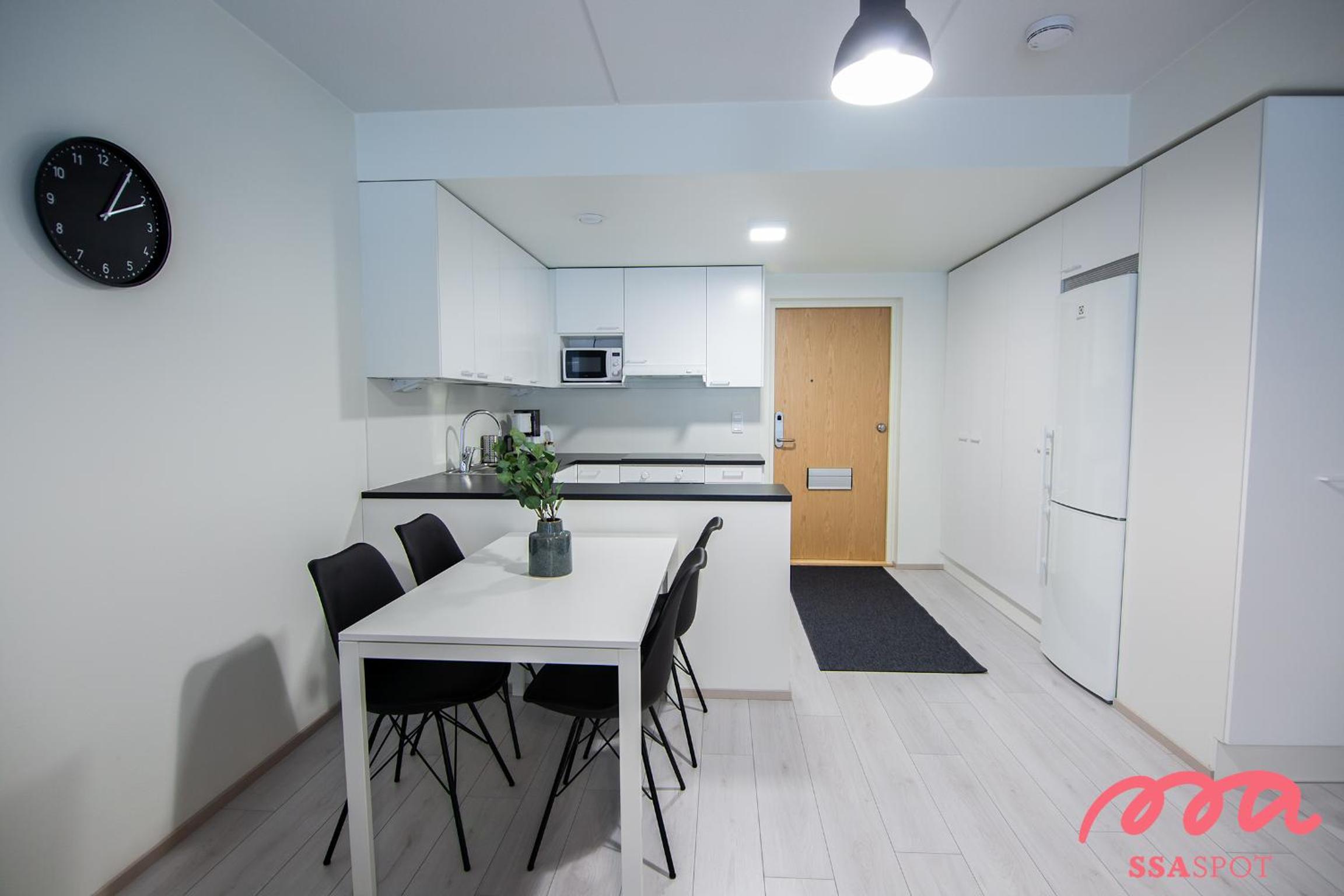 Apartment with Sauna photo 3