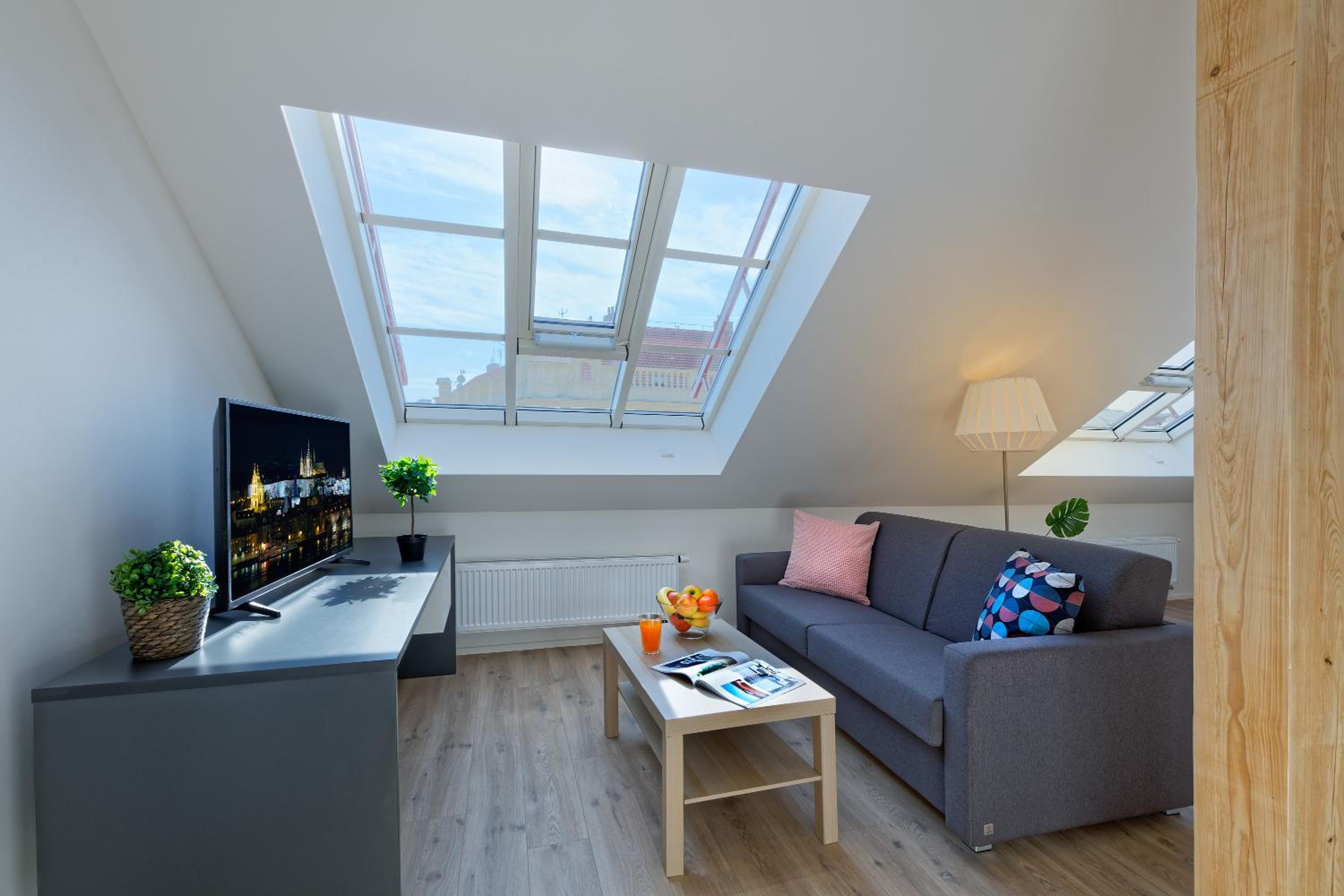 Penthouse Apartment