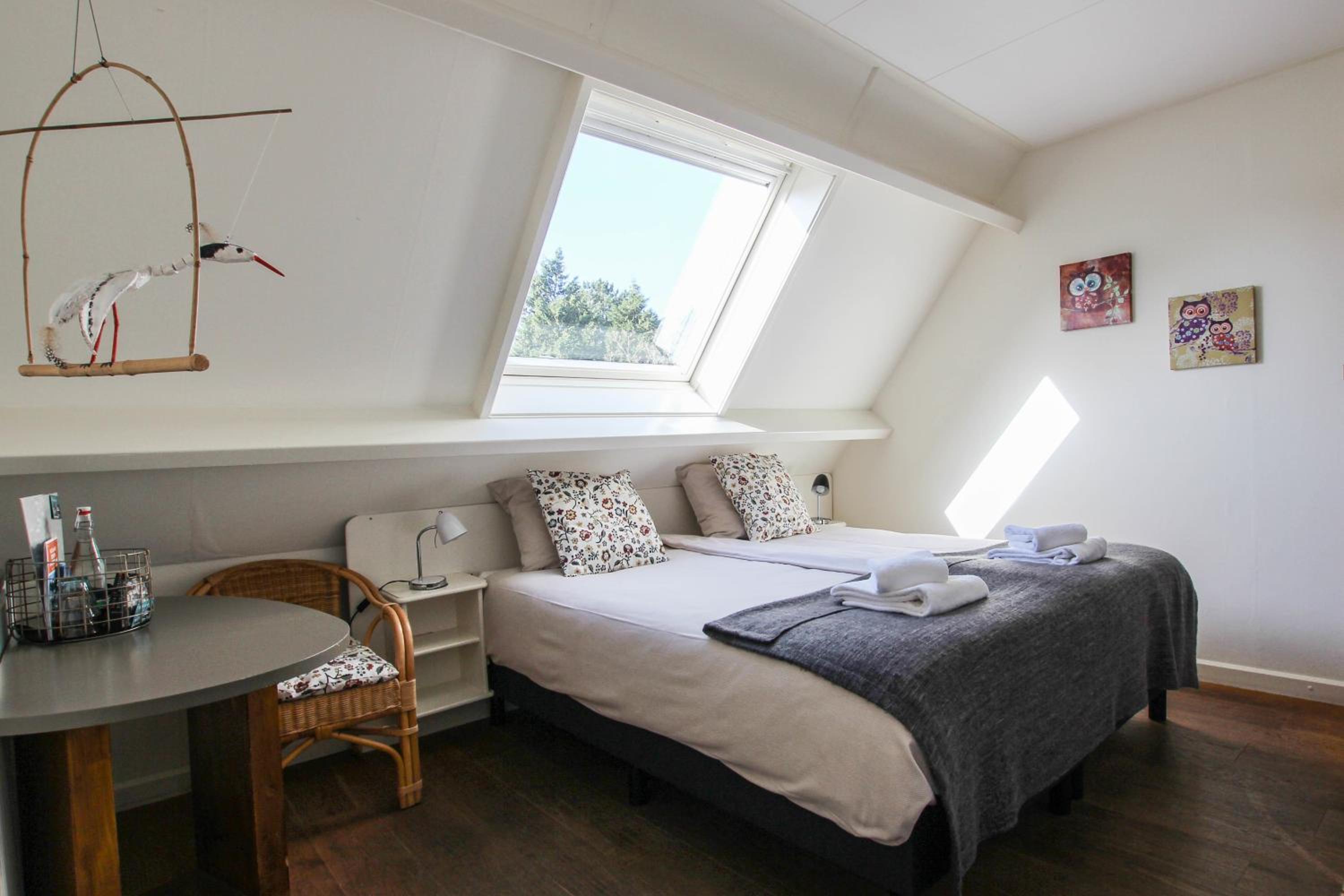 Standard Twin Room photo 2
