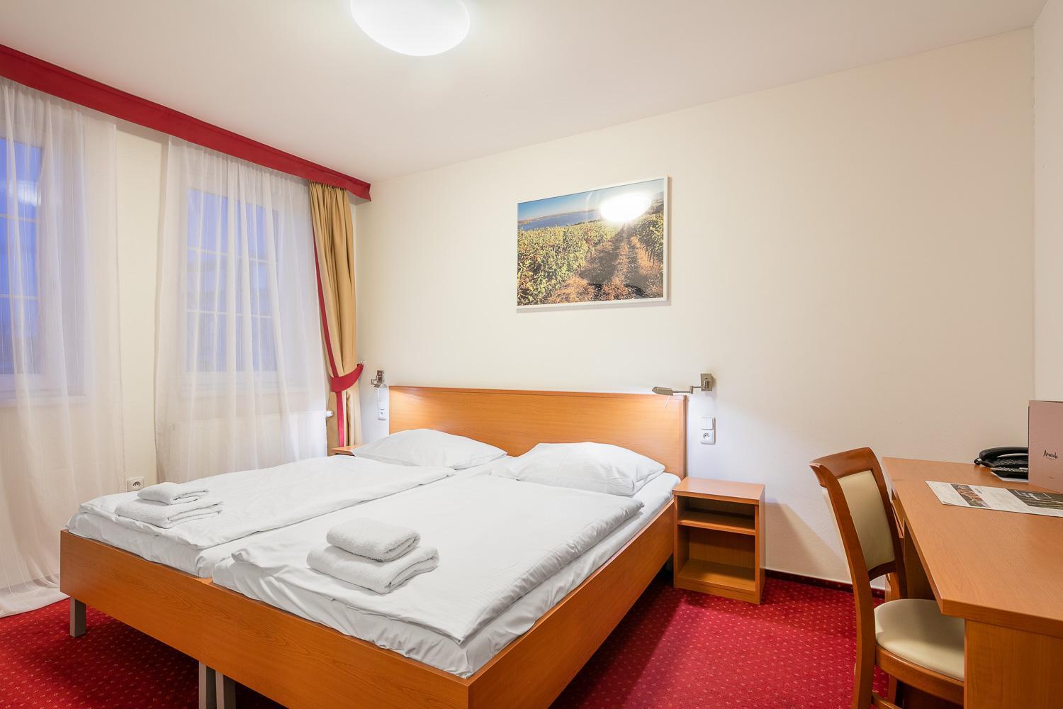 Superior Double or Twin Room with Wellness Access - Photo 2