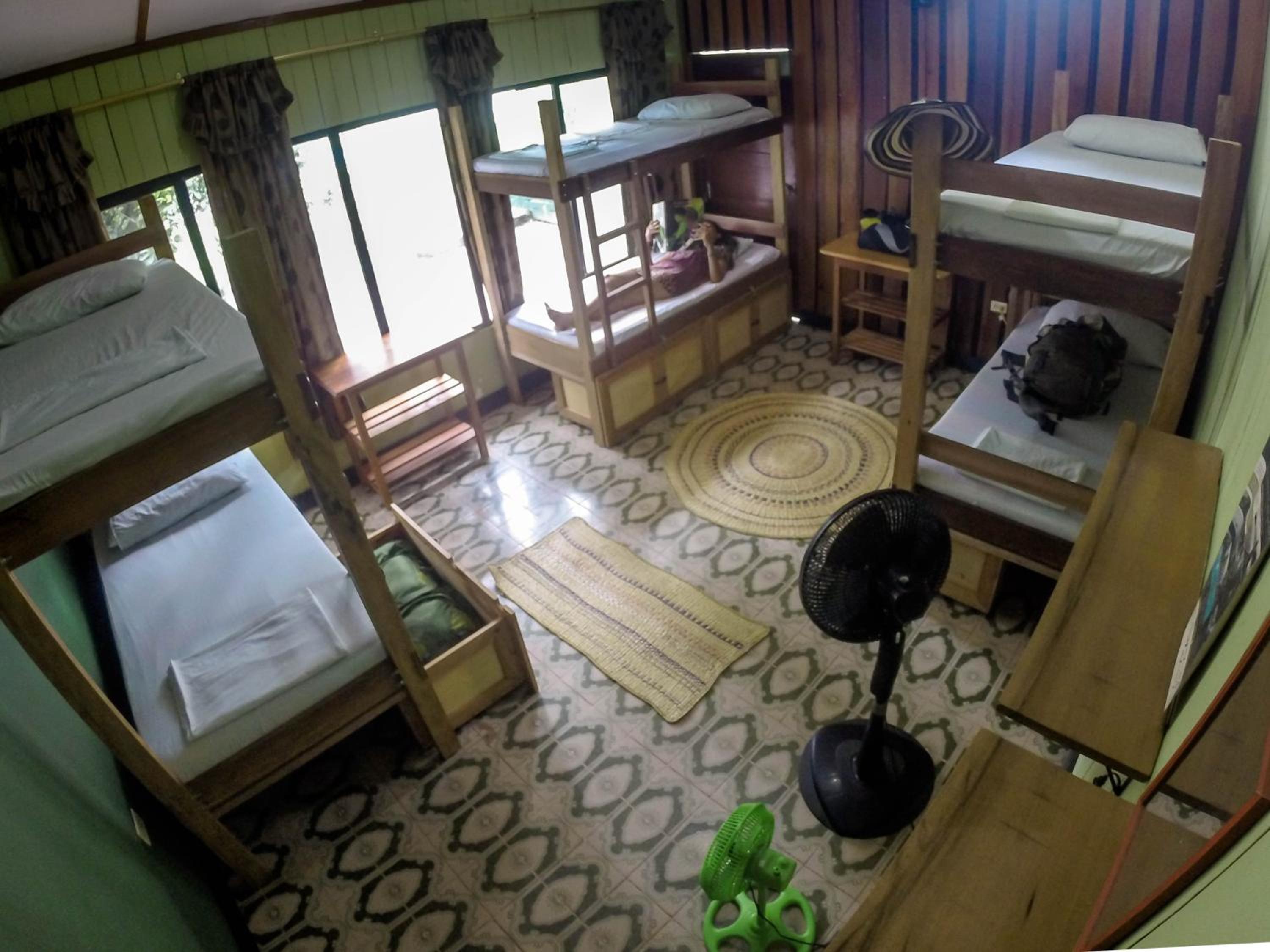 Single Bed in 6-Bed Dormitory Room photo 1