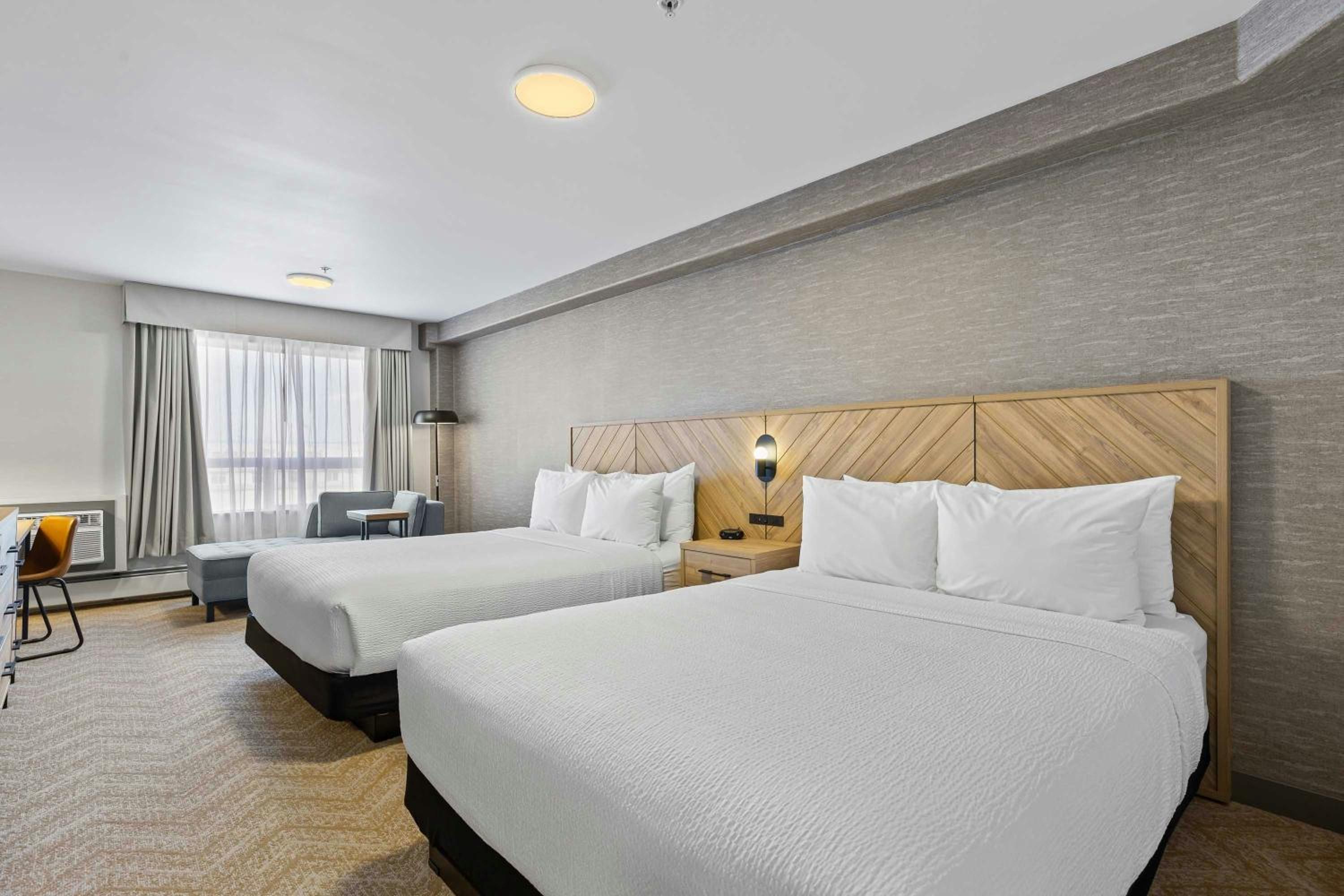 Standard Room, 2 Queen Beds
