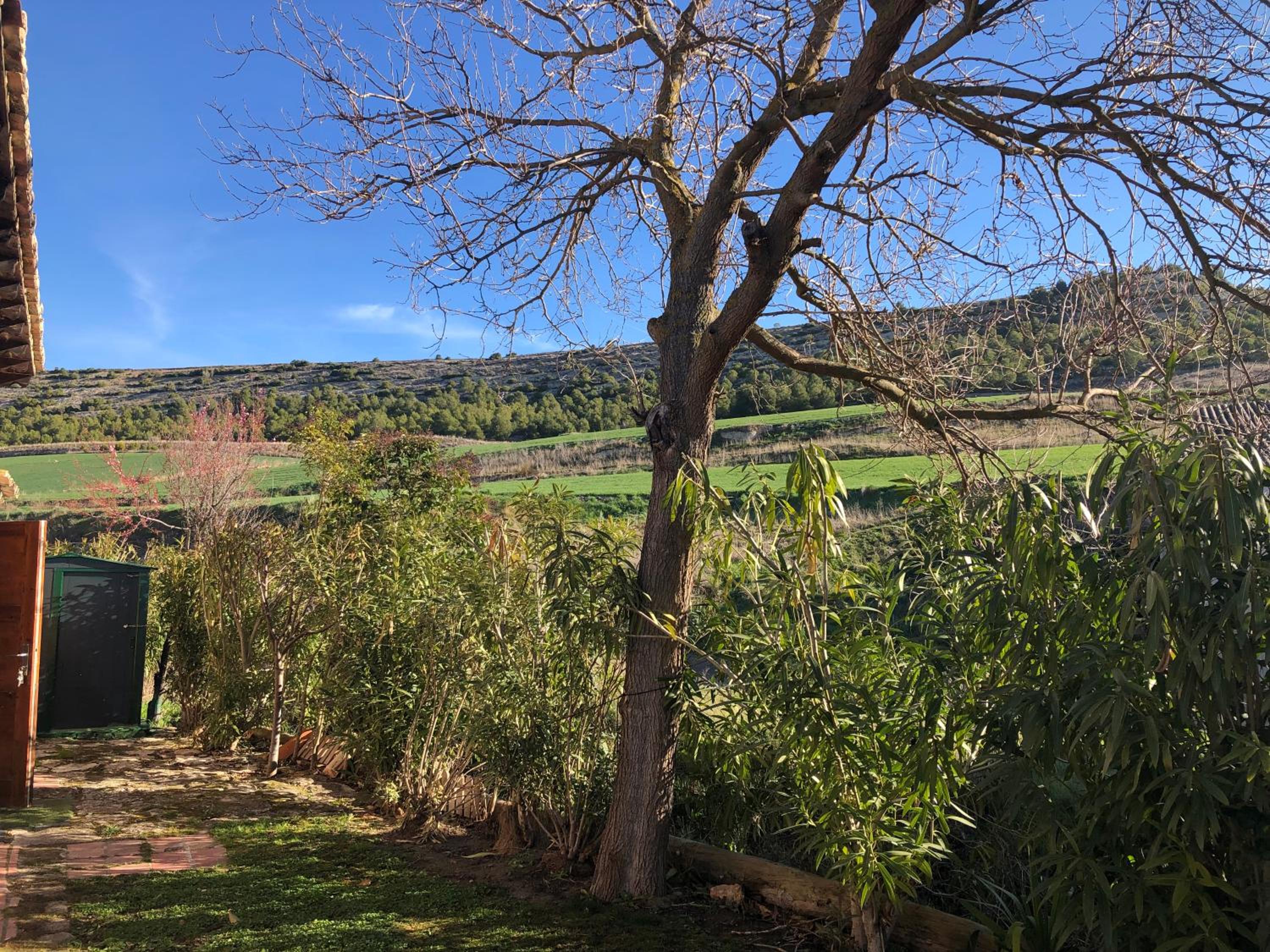 Vacation Home photo 2