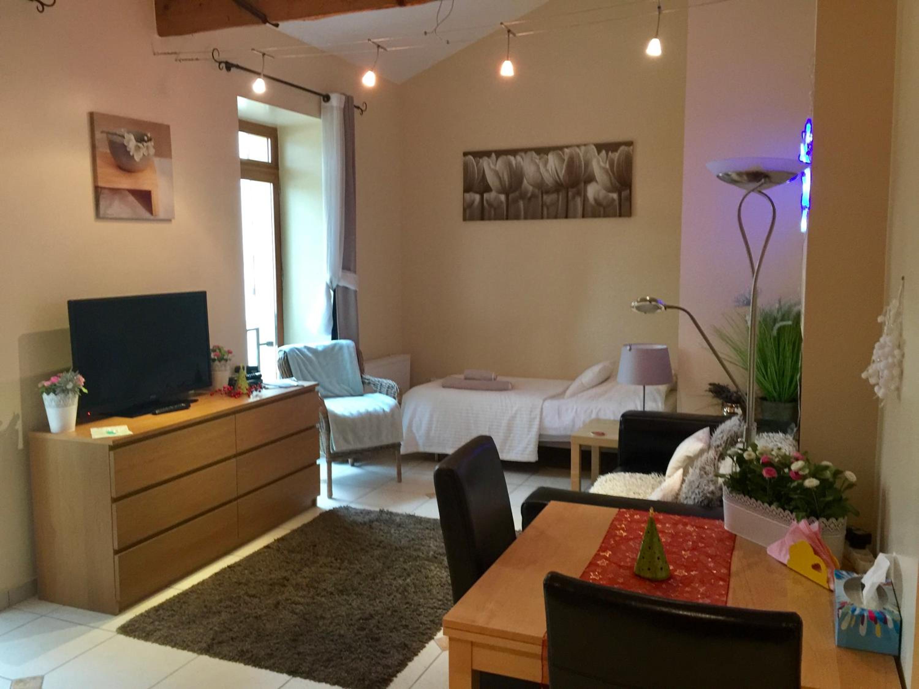 First Floor Apartment with Garden View photo 3