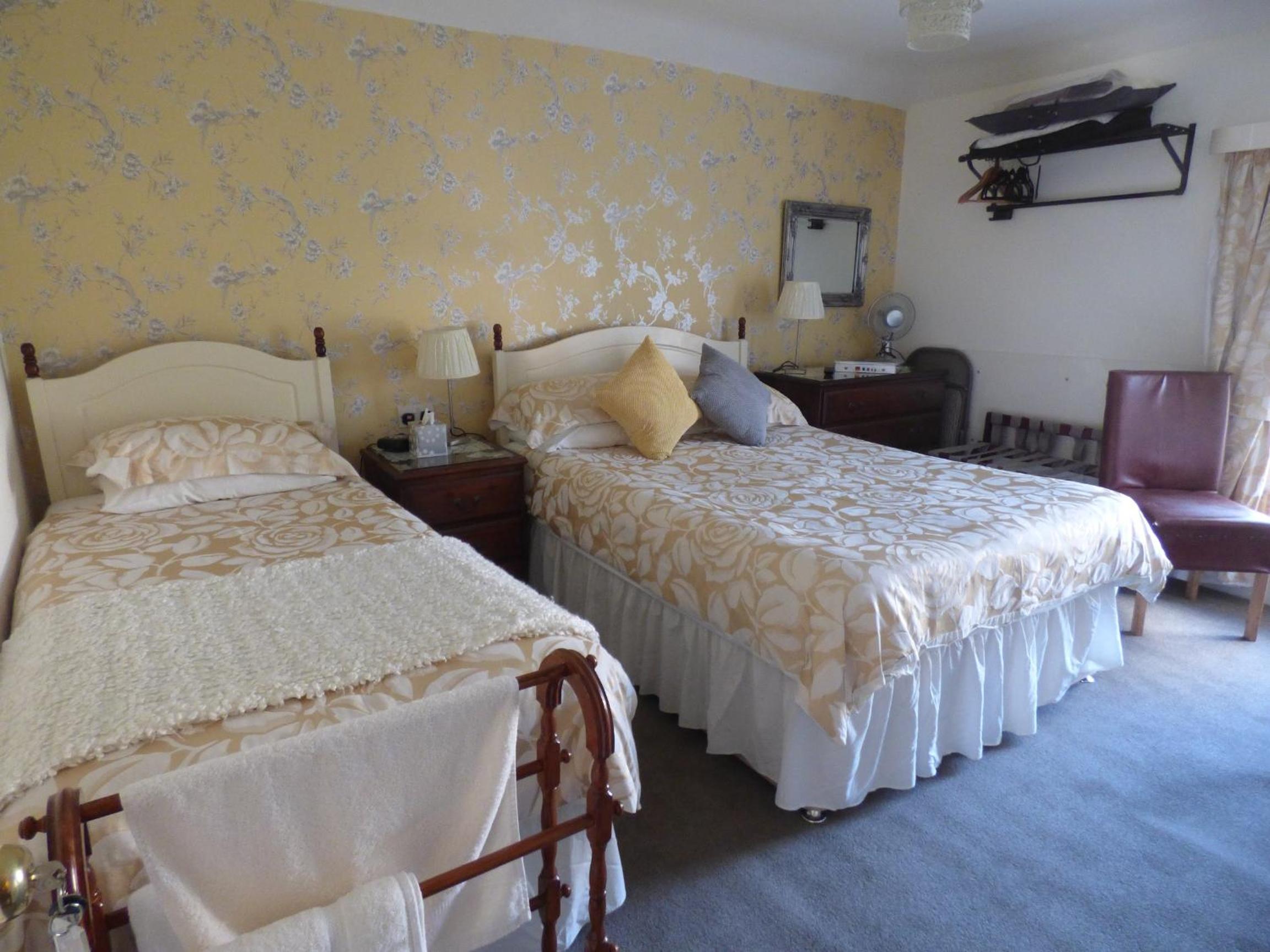 Deluxe Double or Twin Room with Garden View photo 1