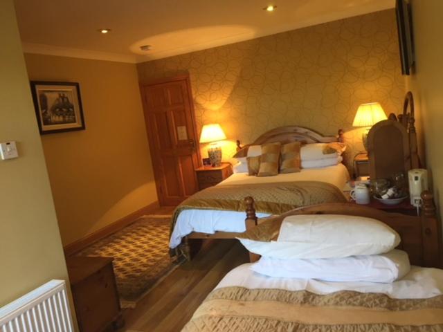 Twin Room photo 3