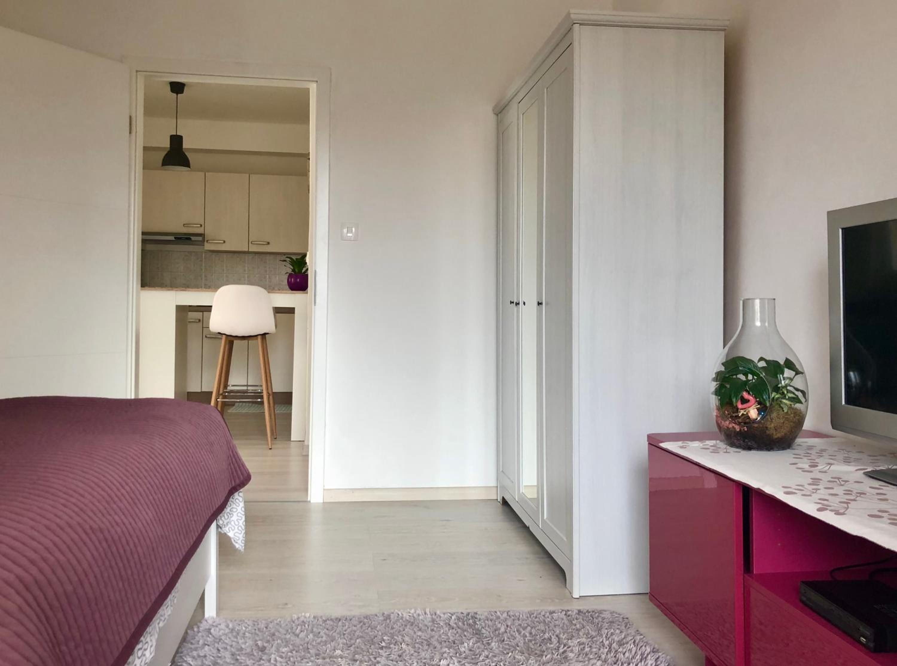 One-Bedroom Apartment photo 2
