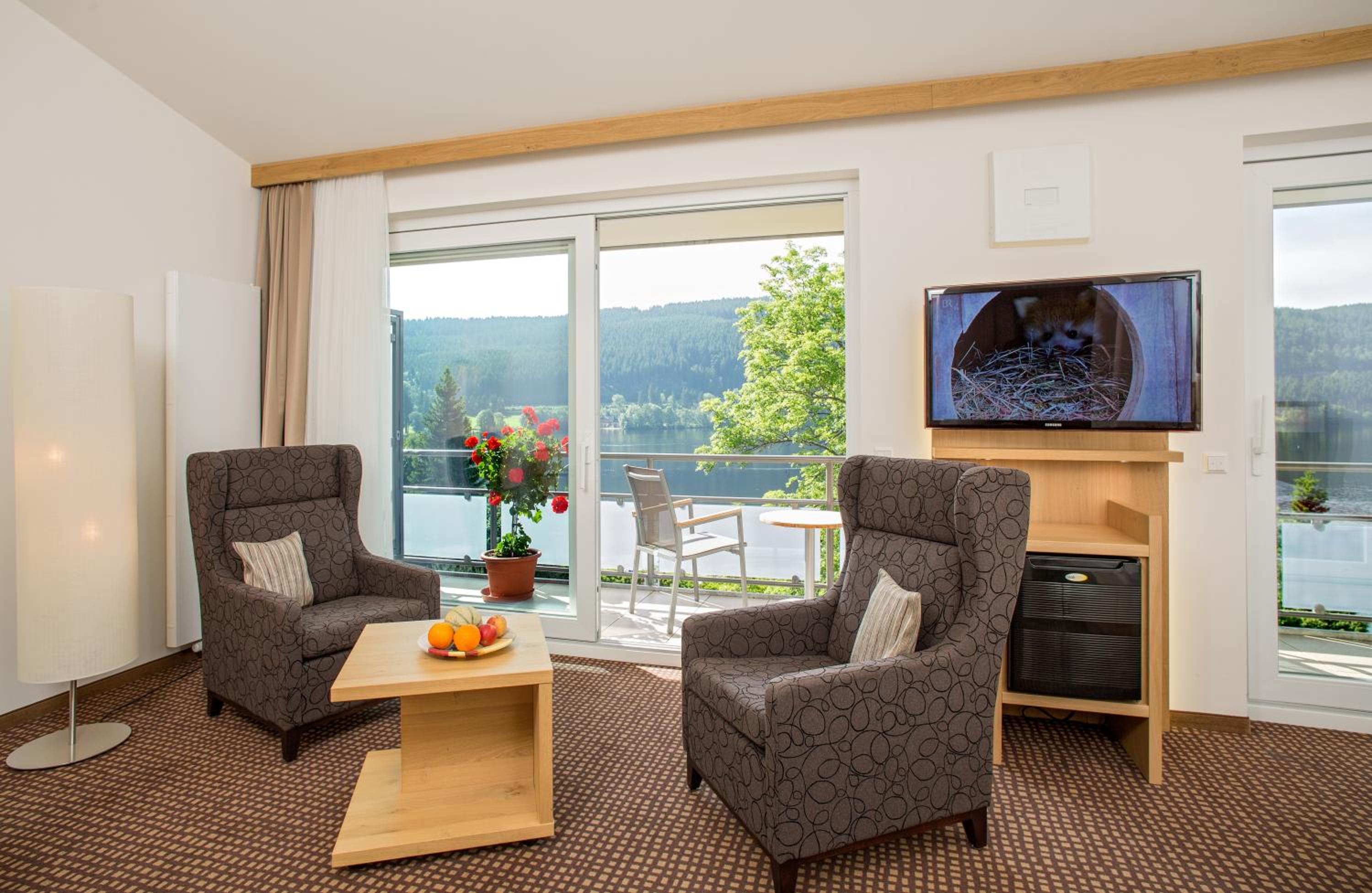 Superior Single Room