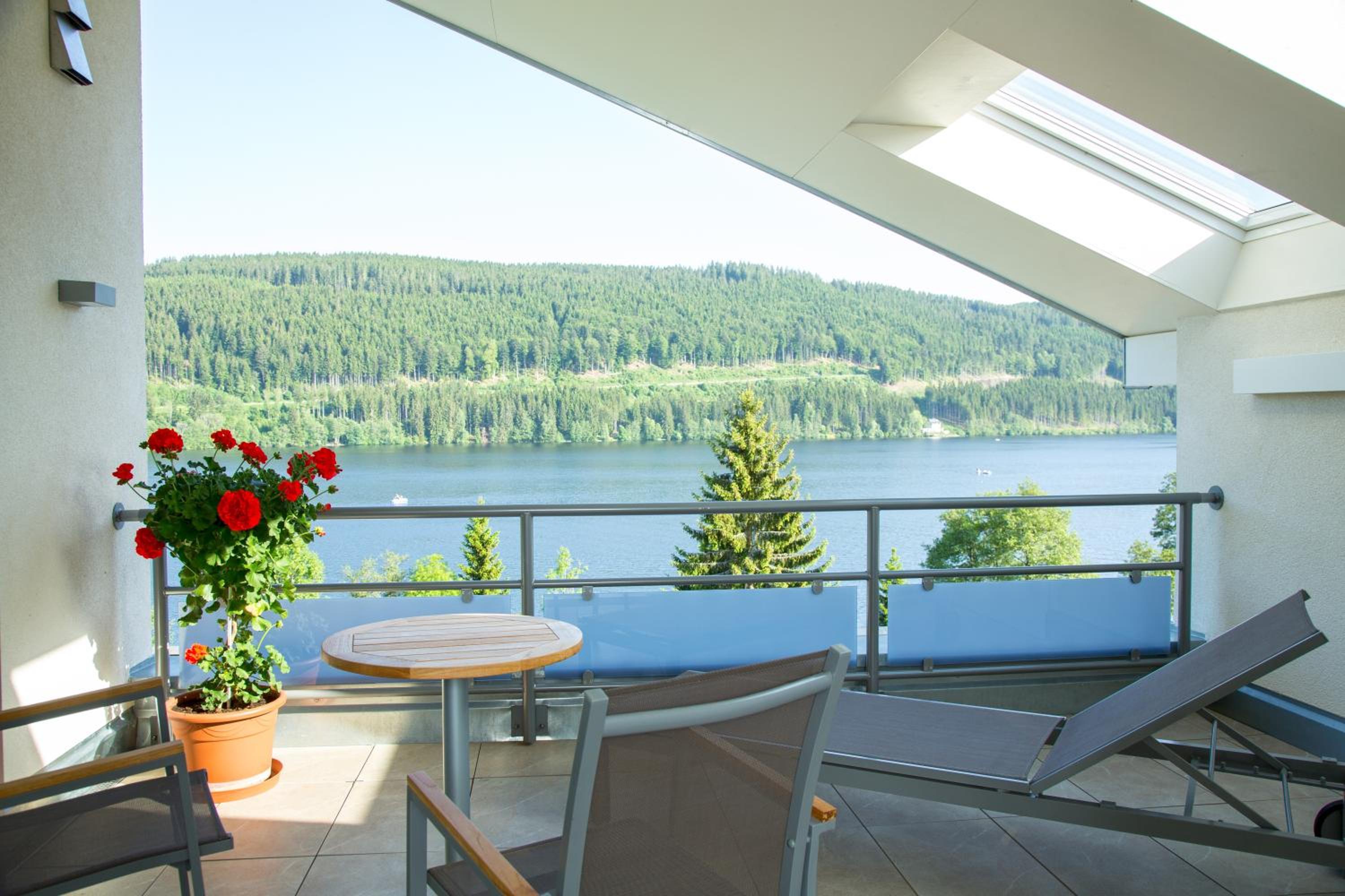 Panorama Suite Feldberg - Photo 4