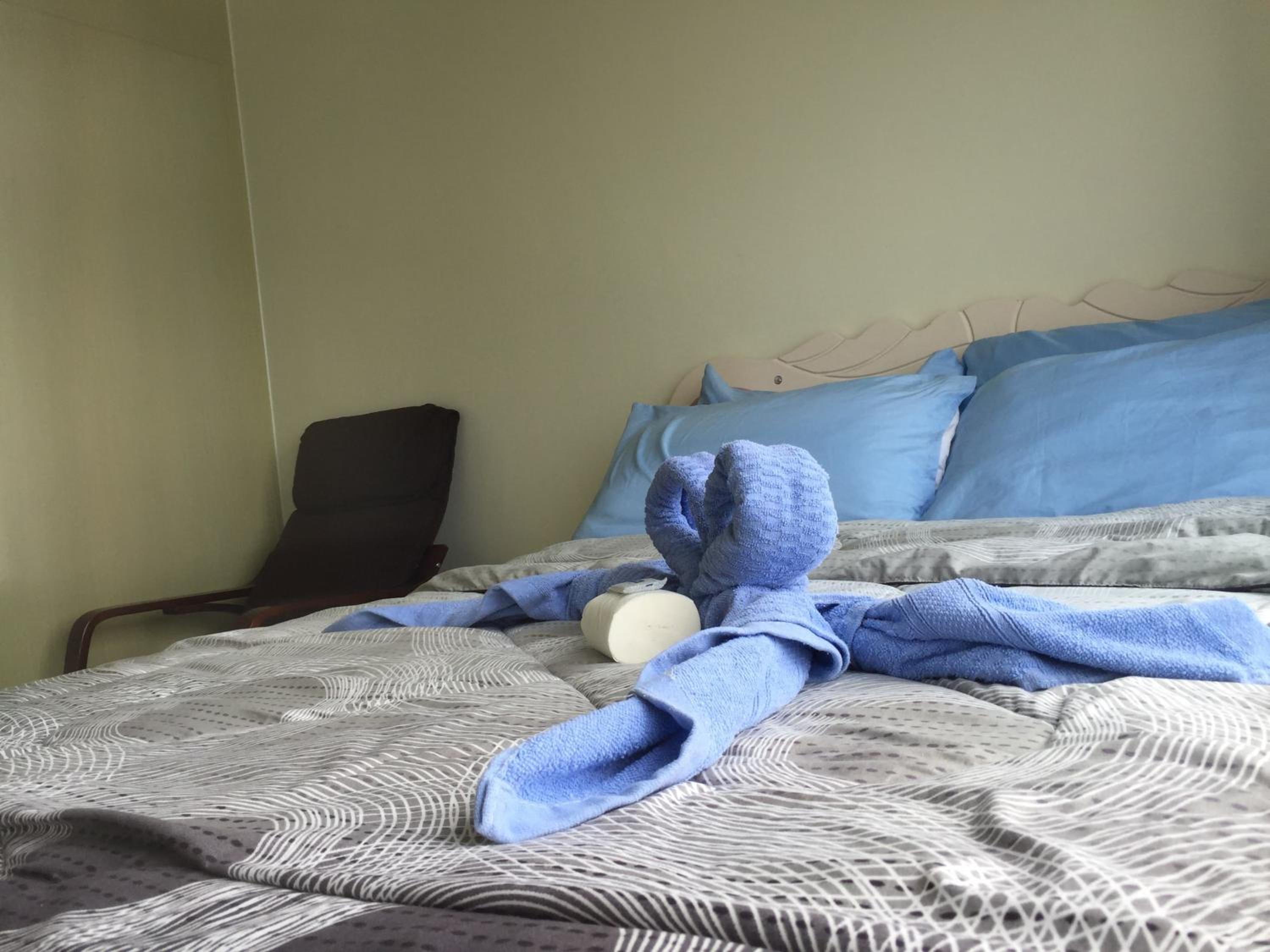 Apartment - Photo 11