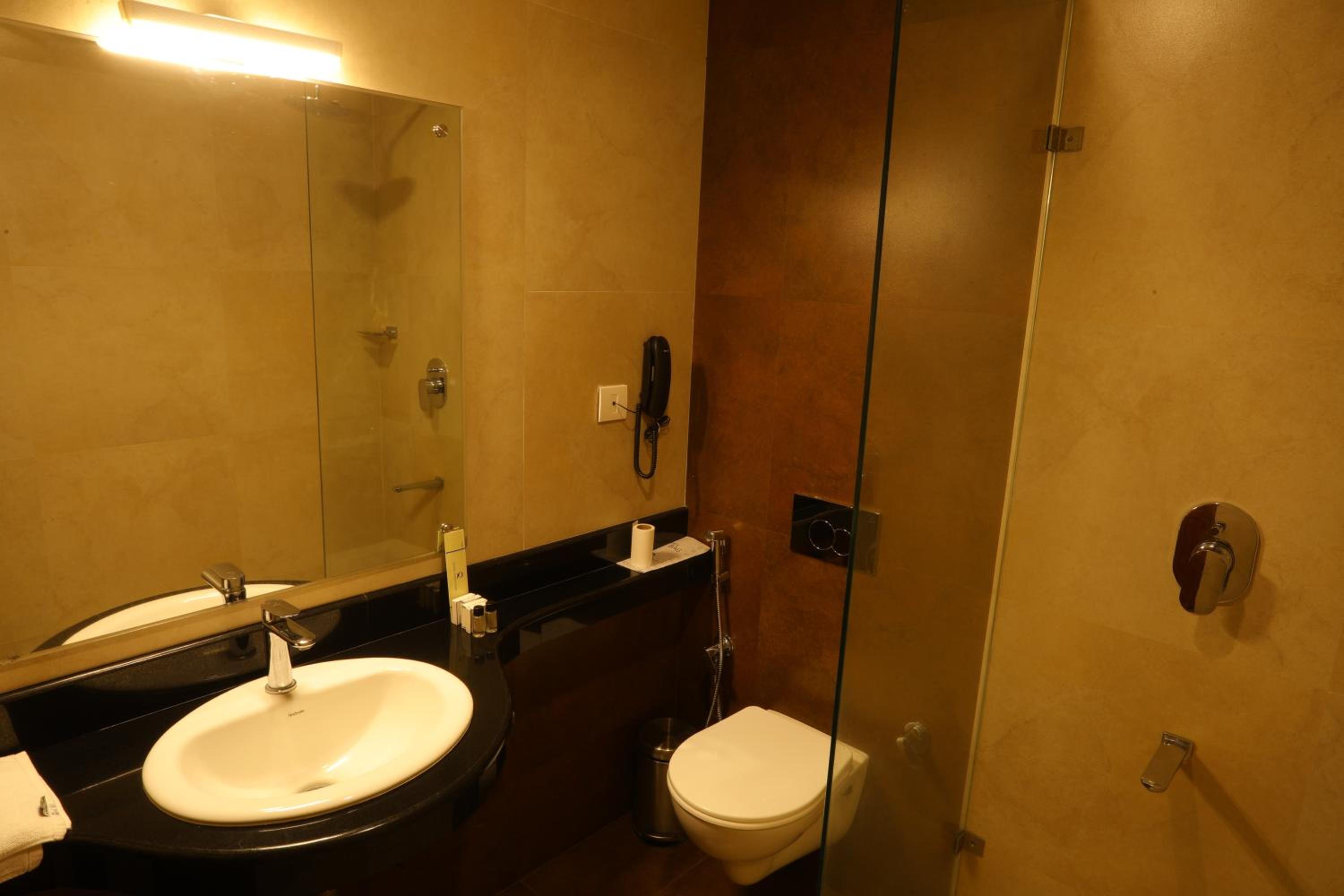 Deluxe Double Room photo 2