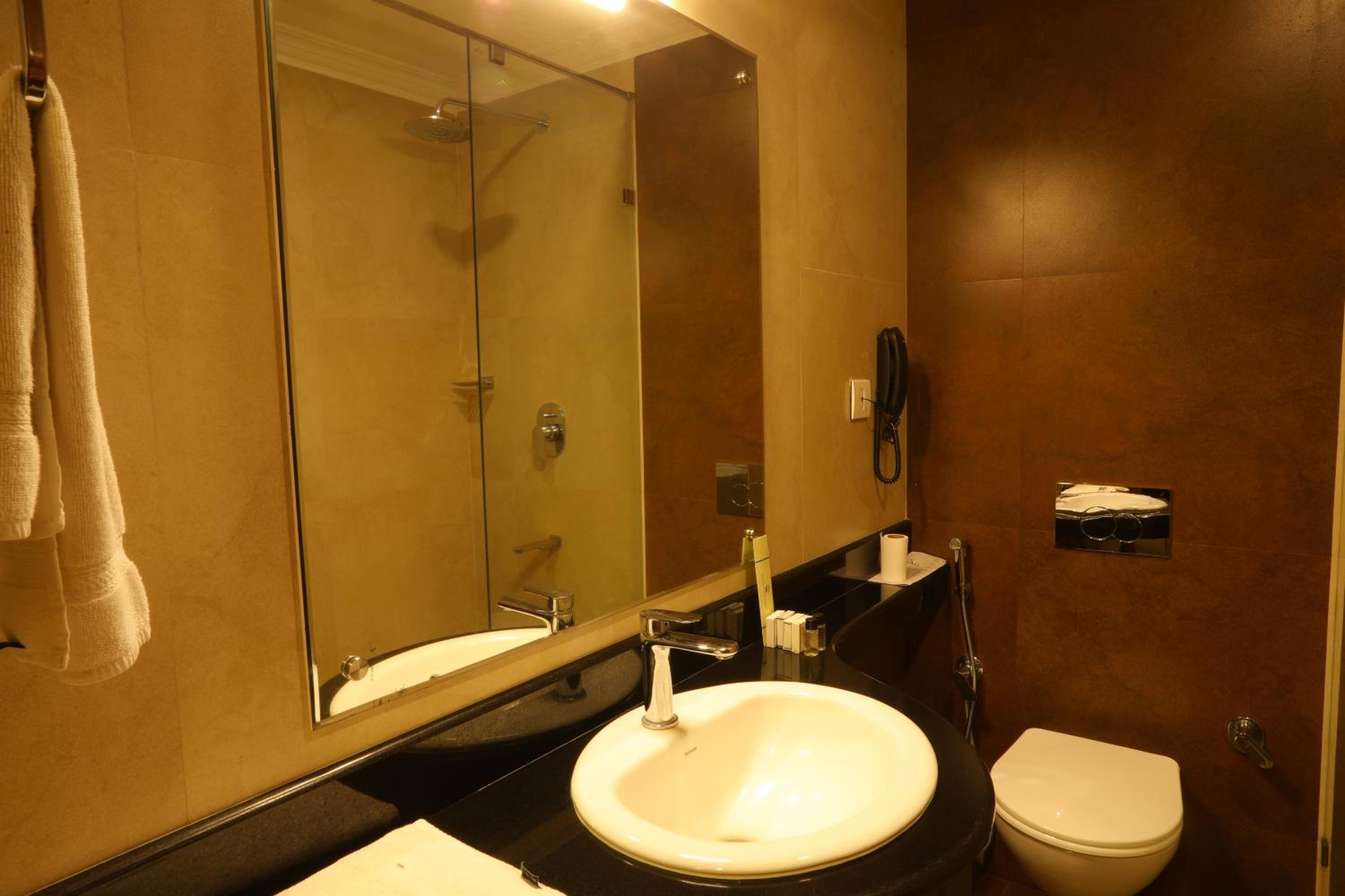 Deluxe Double Room photo 3
