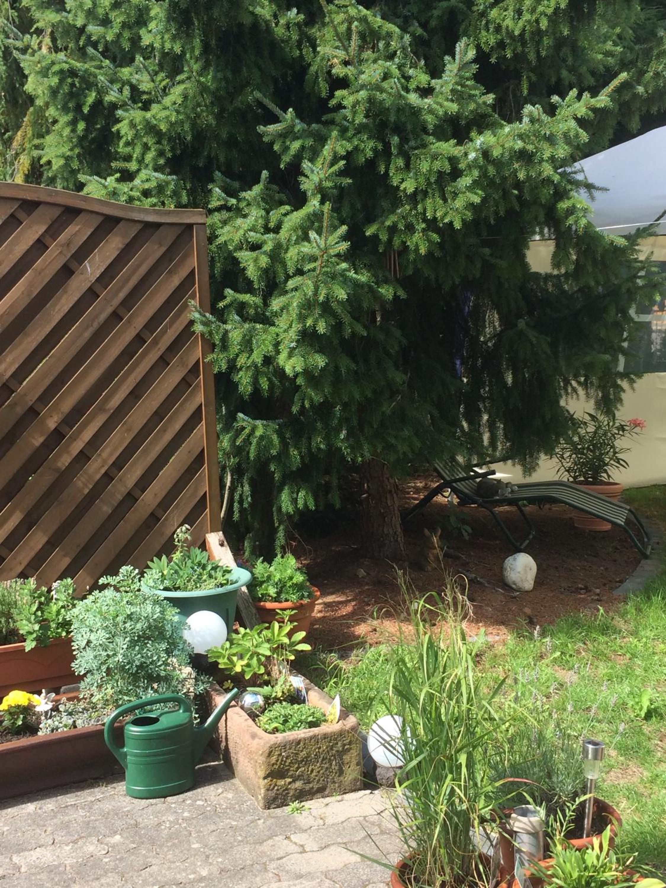 Apartment With Garden View photo 2
