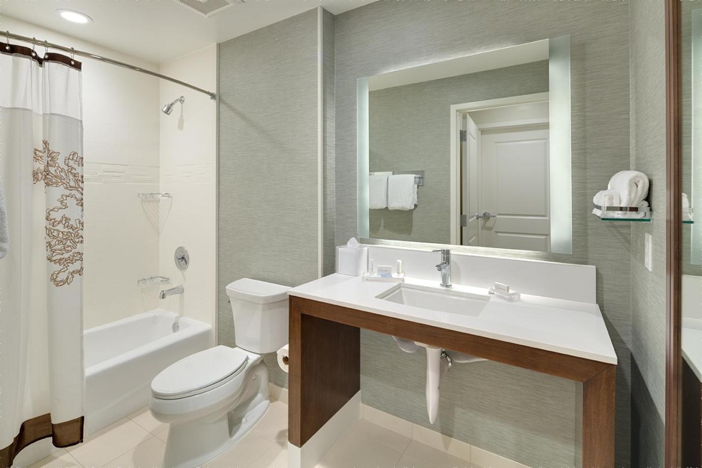 One-Bedroom King Suite with Sofa Bed