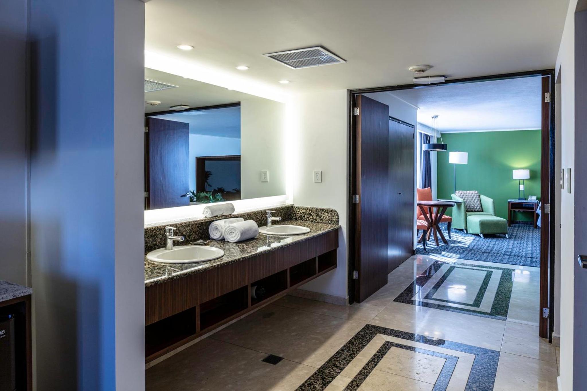 One-Bedroom King Suite
