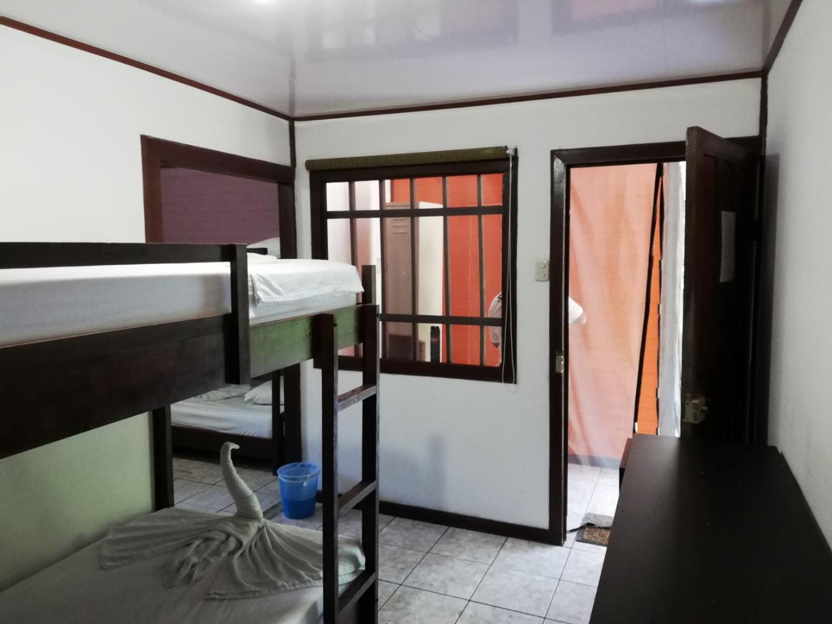 Single Bed in Mixed Dormitory Room photo 3