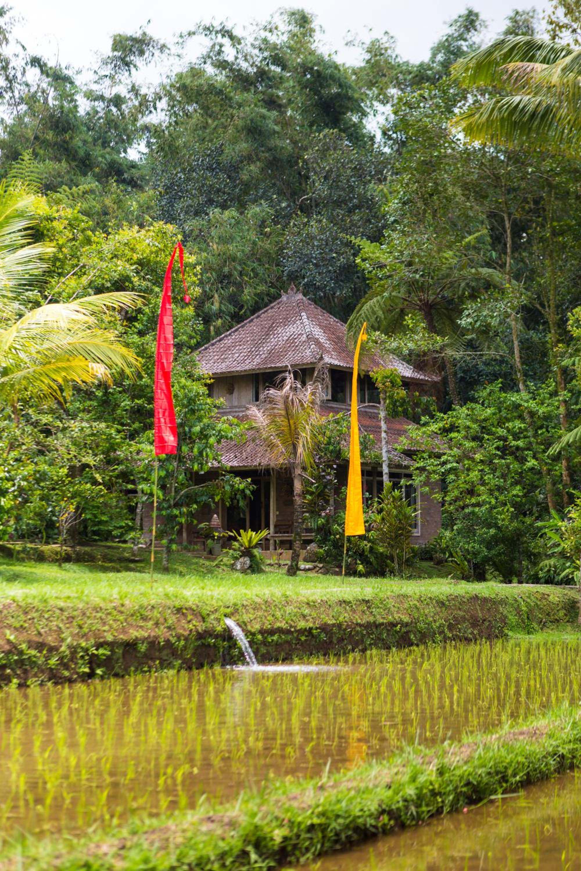 Family Bungalow photo 3