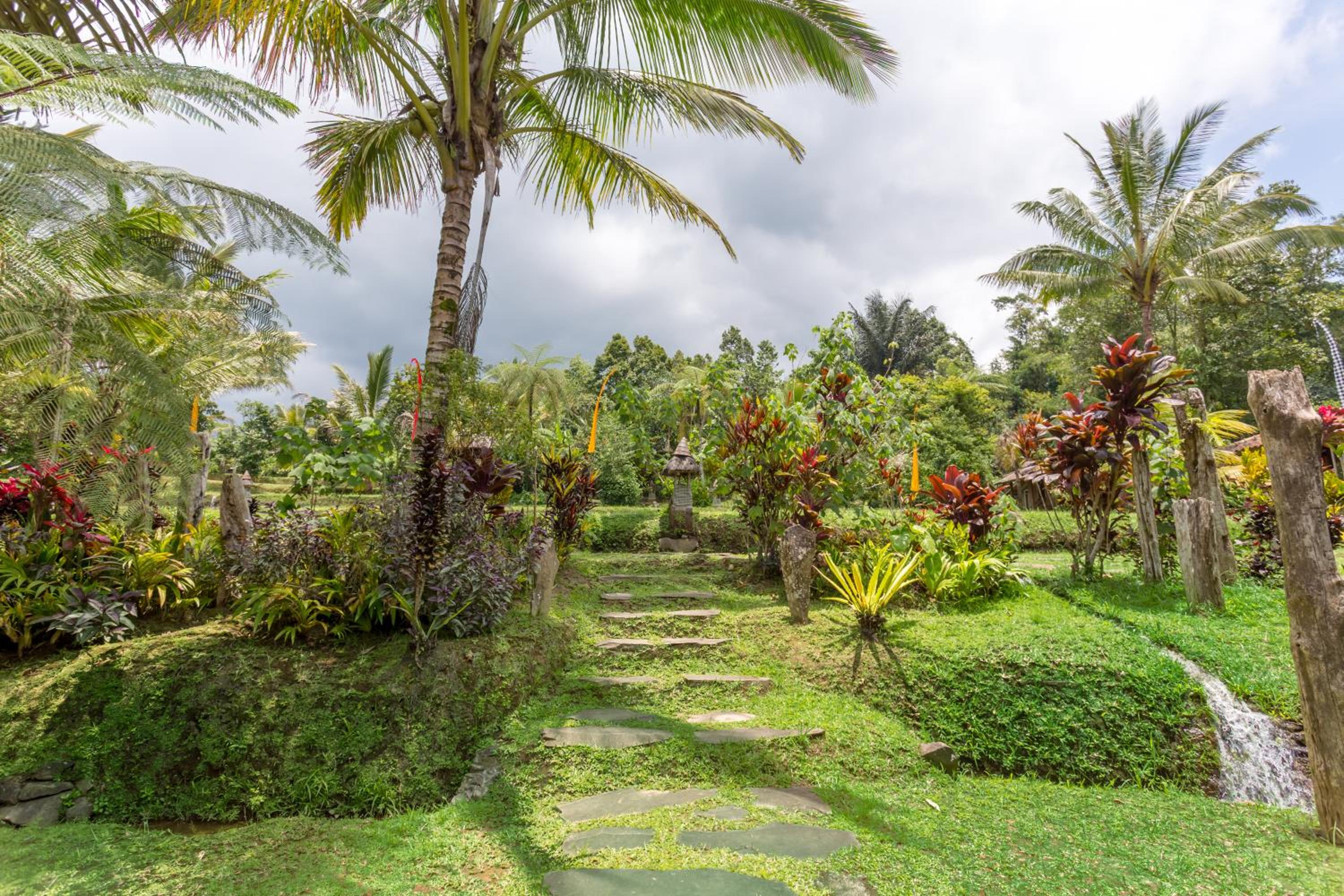 Bungalow with Garden View photo 2
