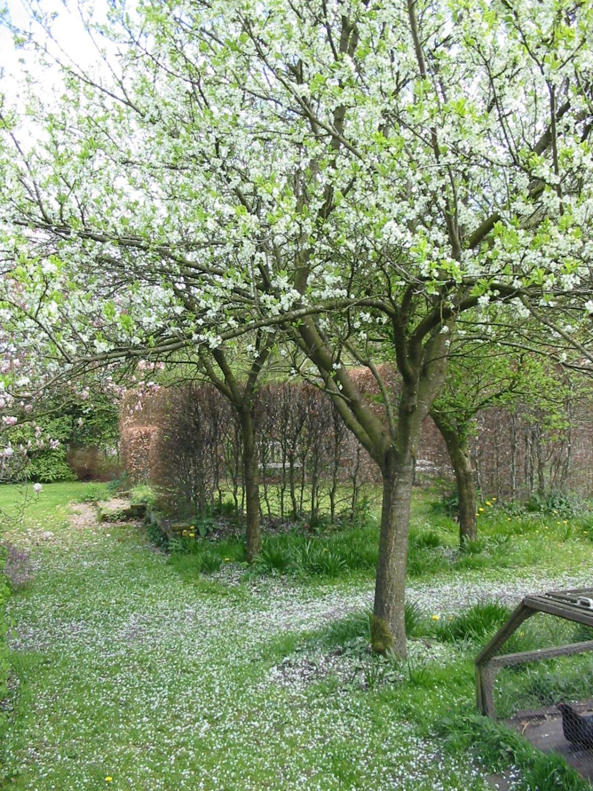 Twin Room with Garden View - Photo 24