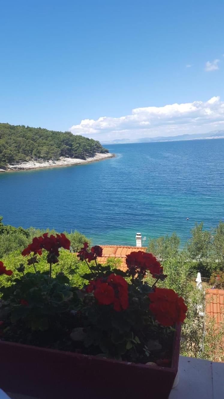 Apartment with Sea View photo 1