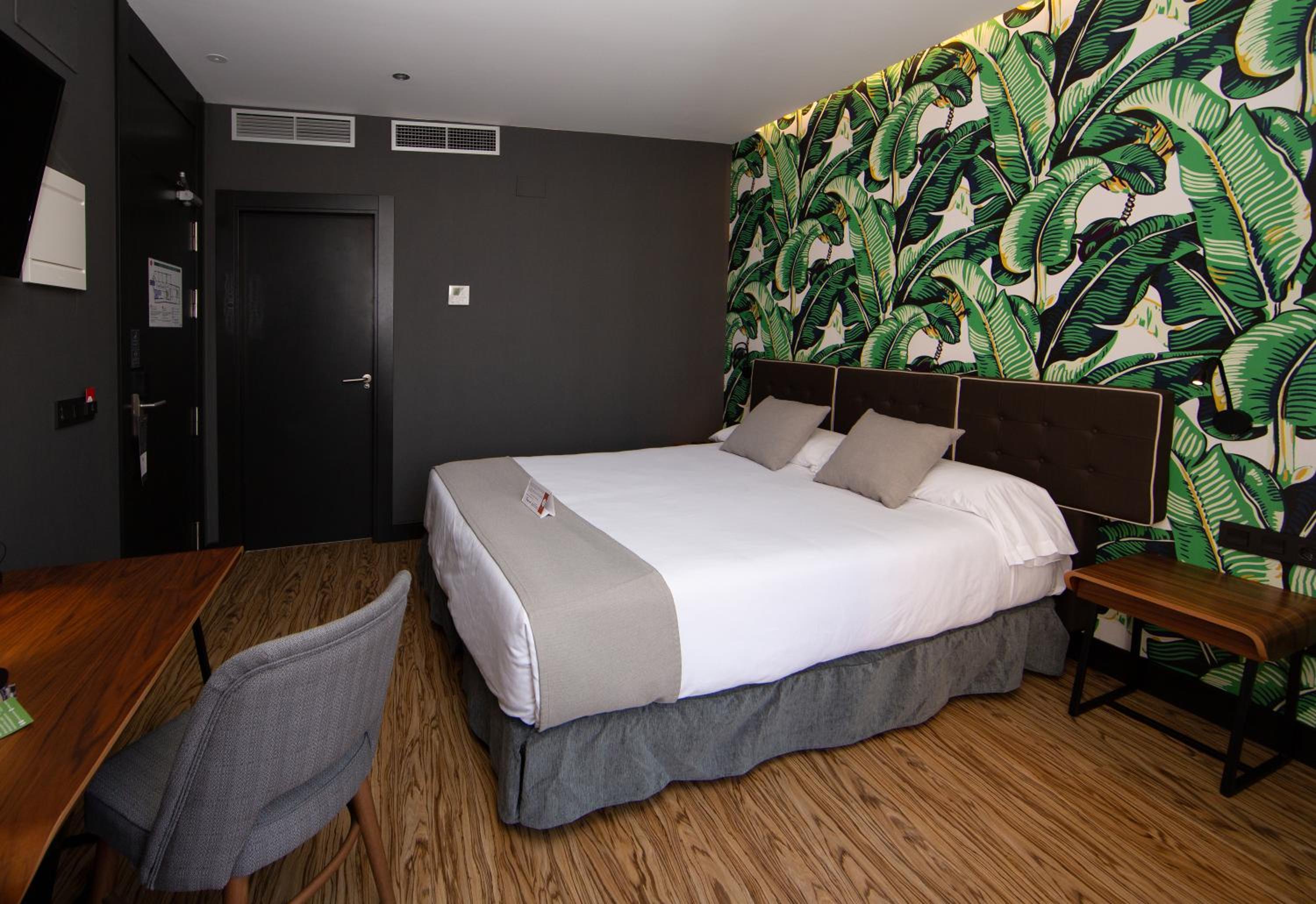 Double or Twin Room photo 3